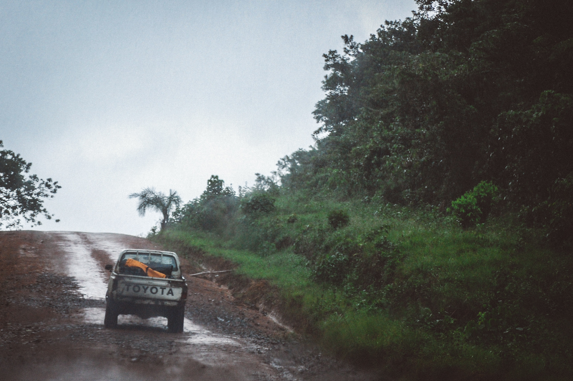 dirt road in the jungle
