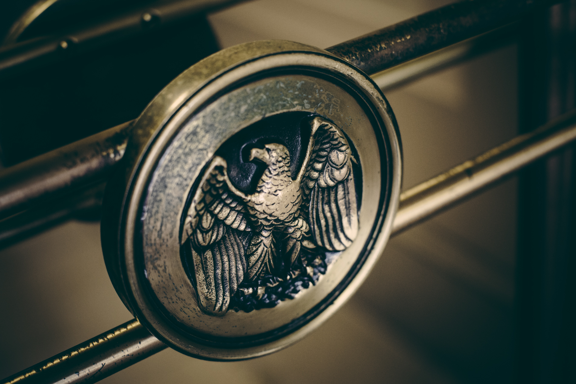 american seal eagle