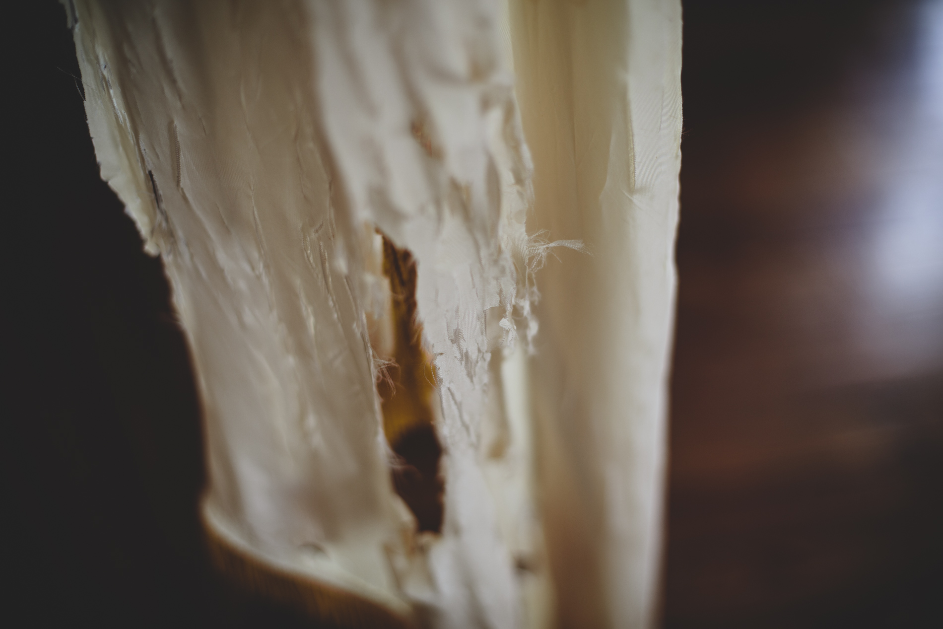 Tattered Bible