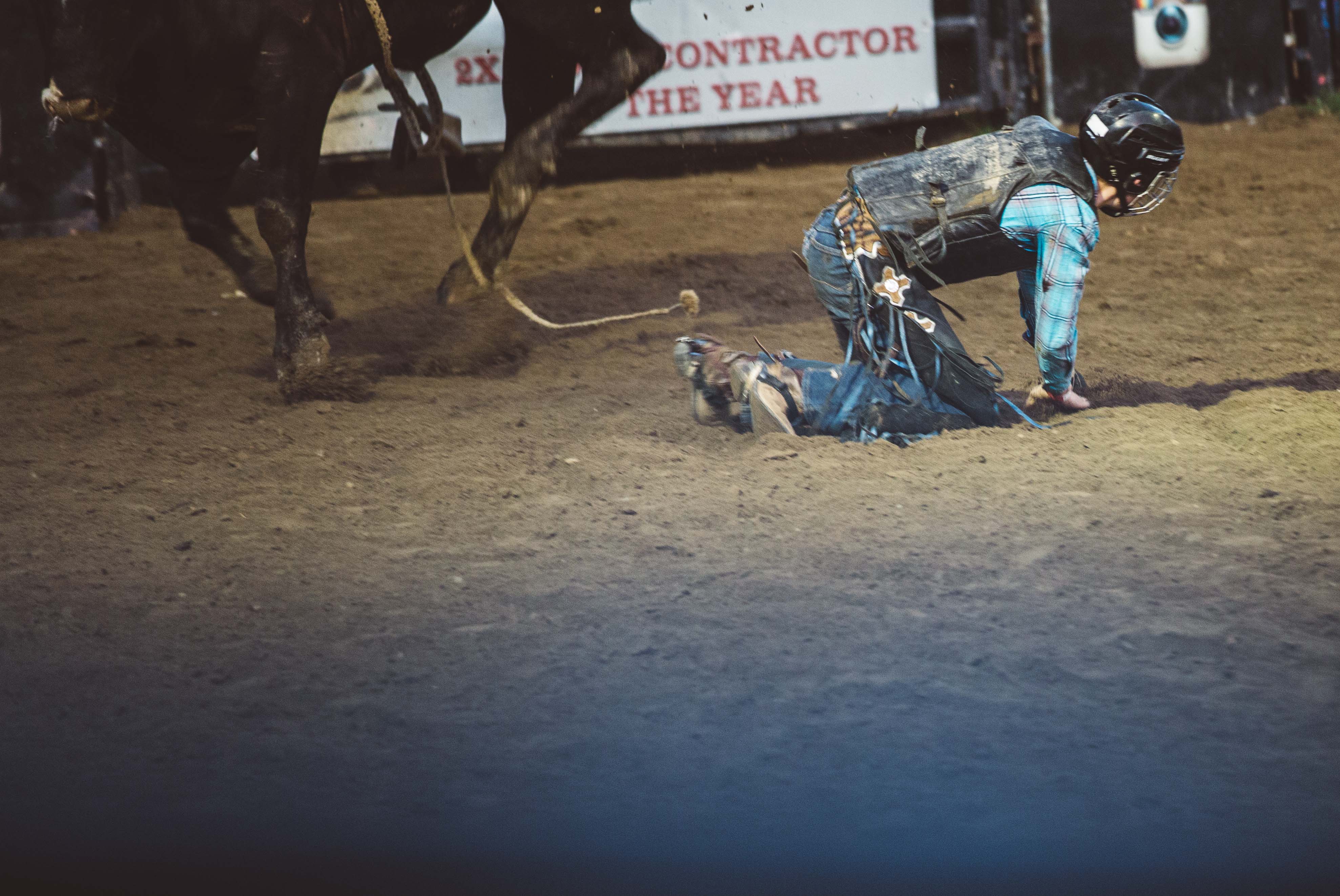 Man falls off bull