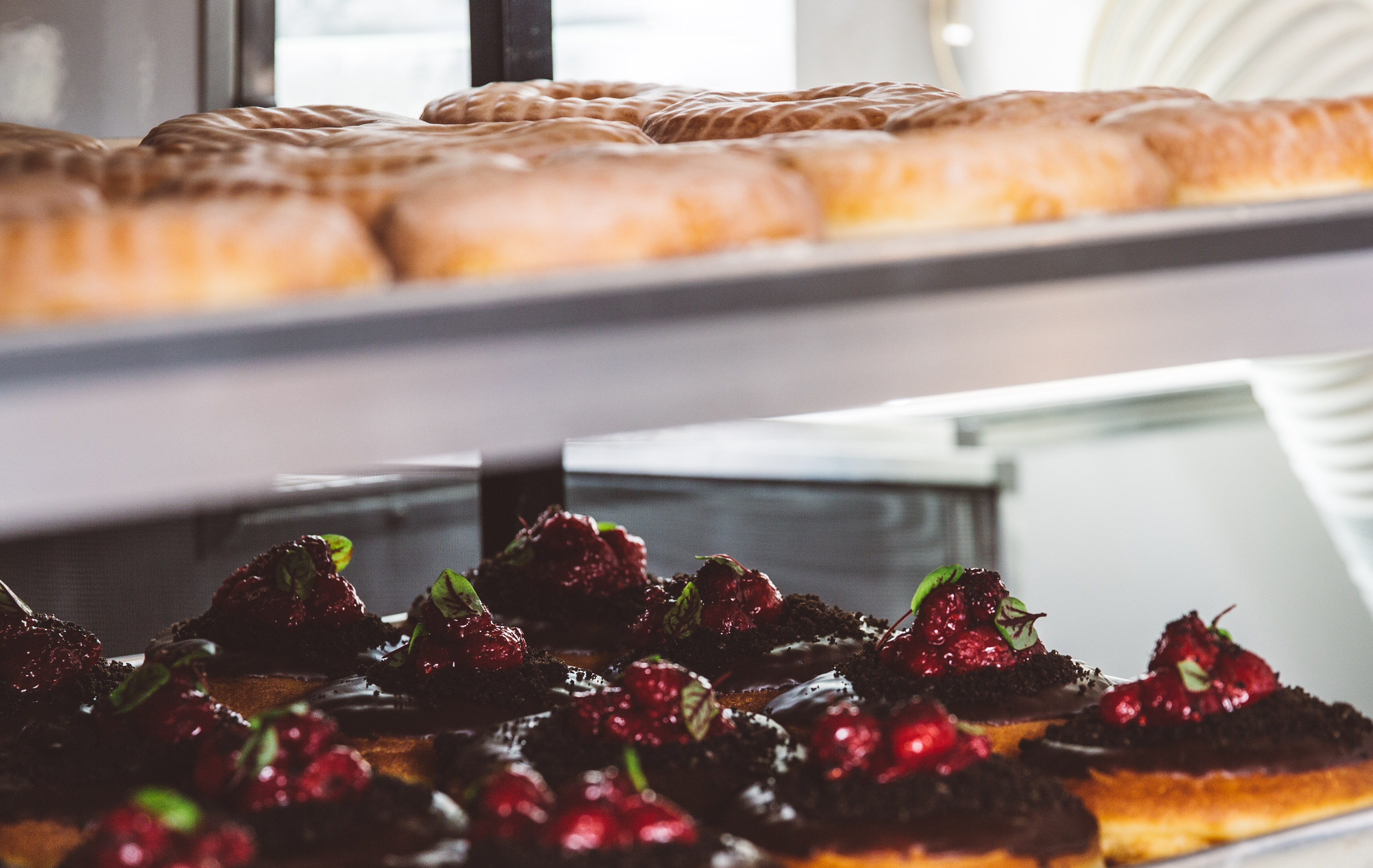 Donuts on display