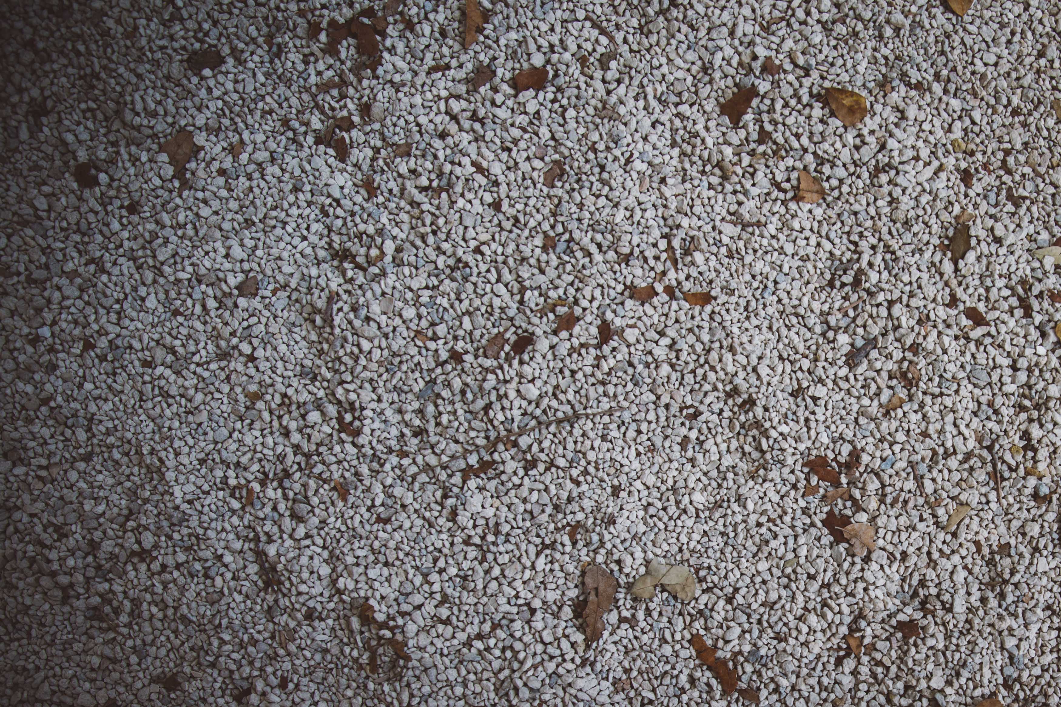 Gravel and leaves
