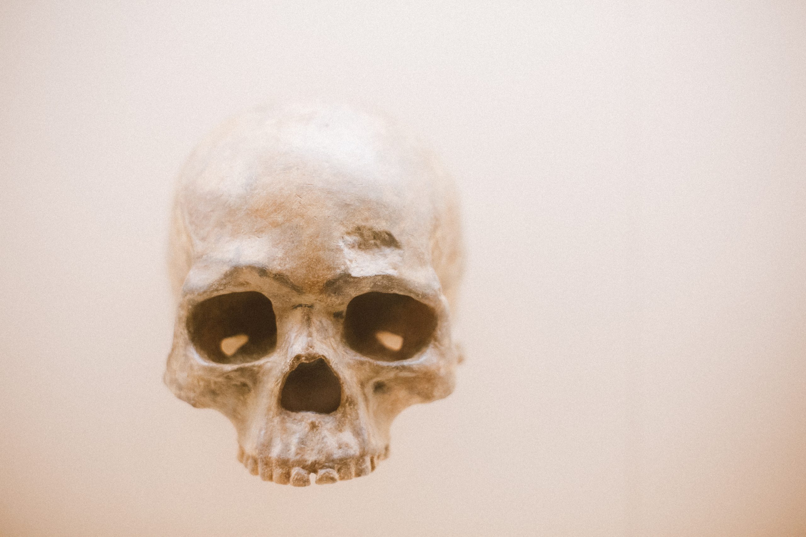 Skull