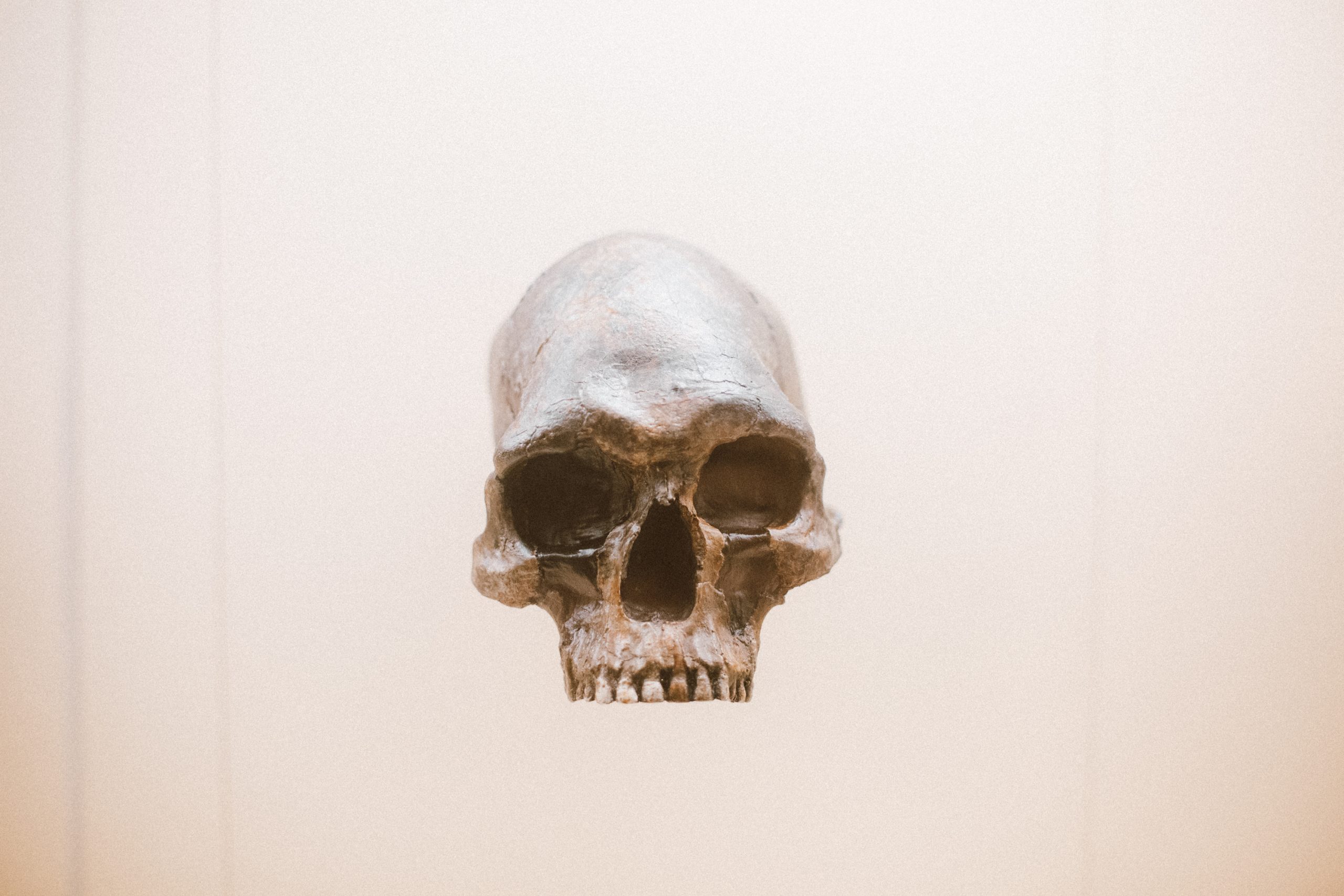 Skull 2
