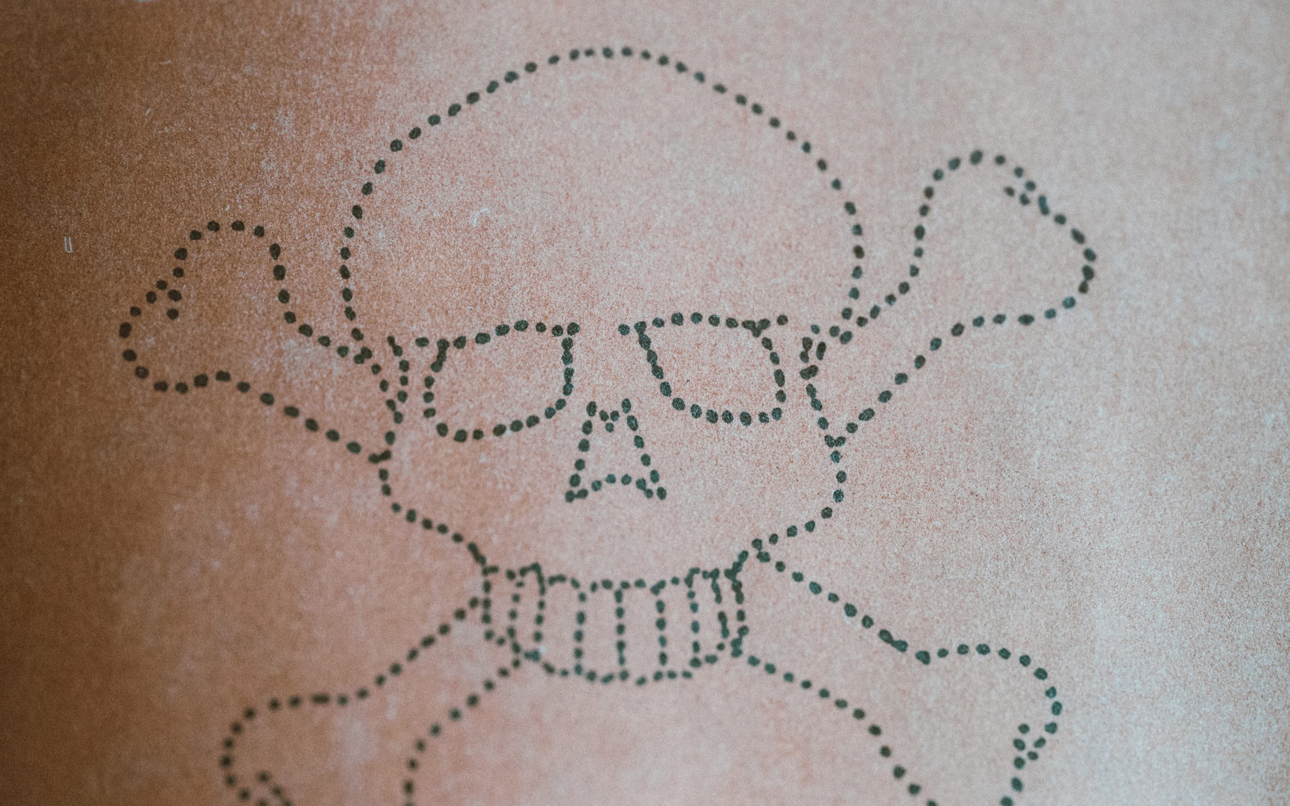 Skull art