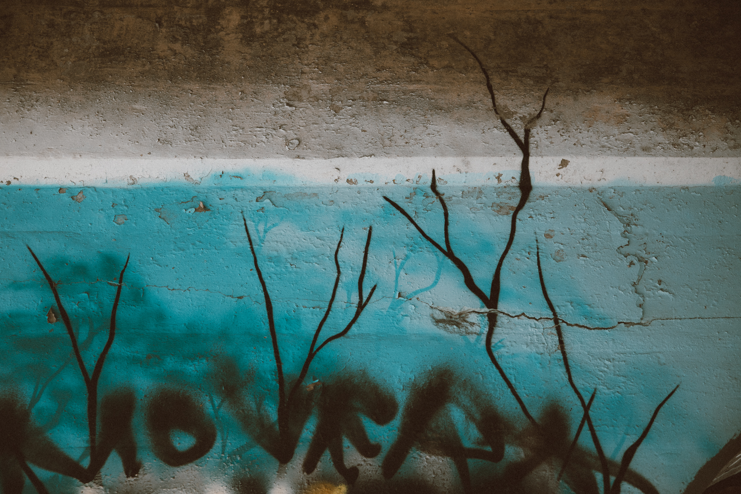 Roots