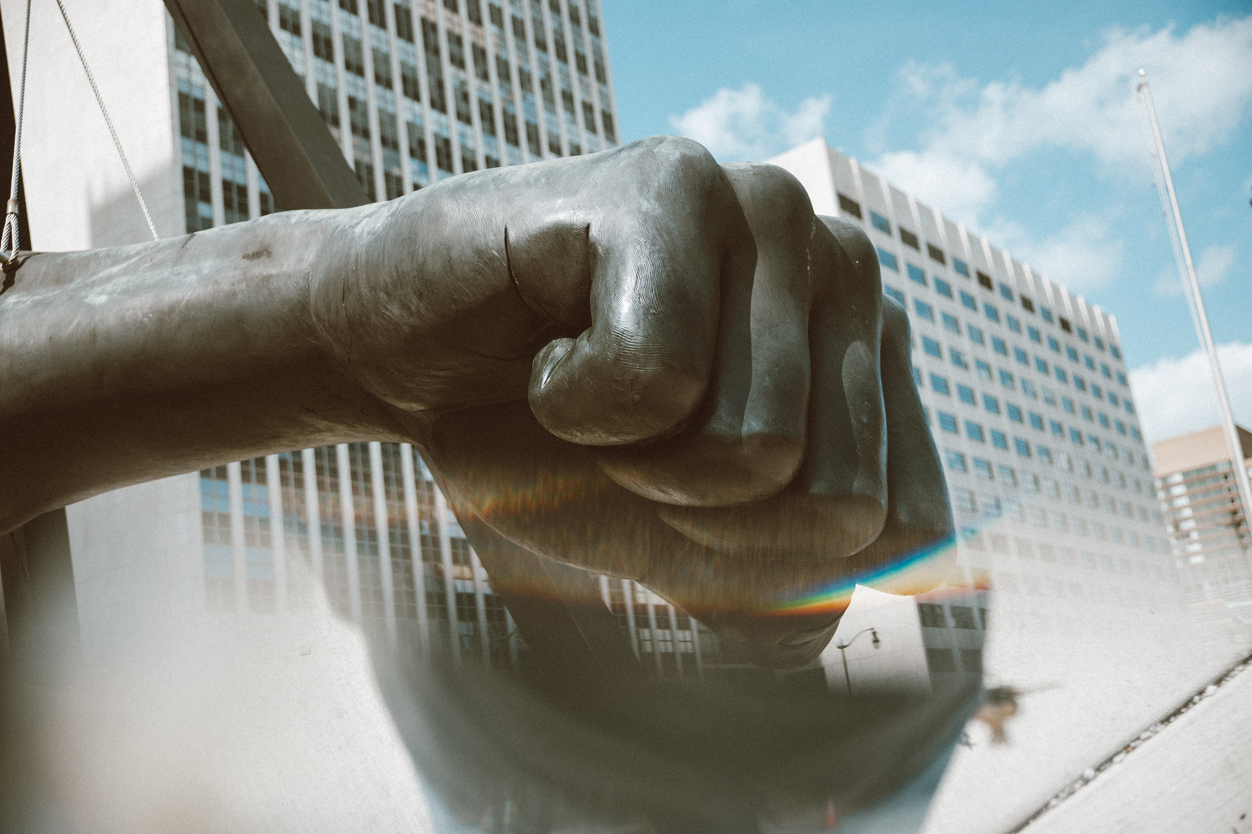 The fist