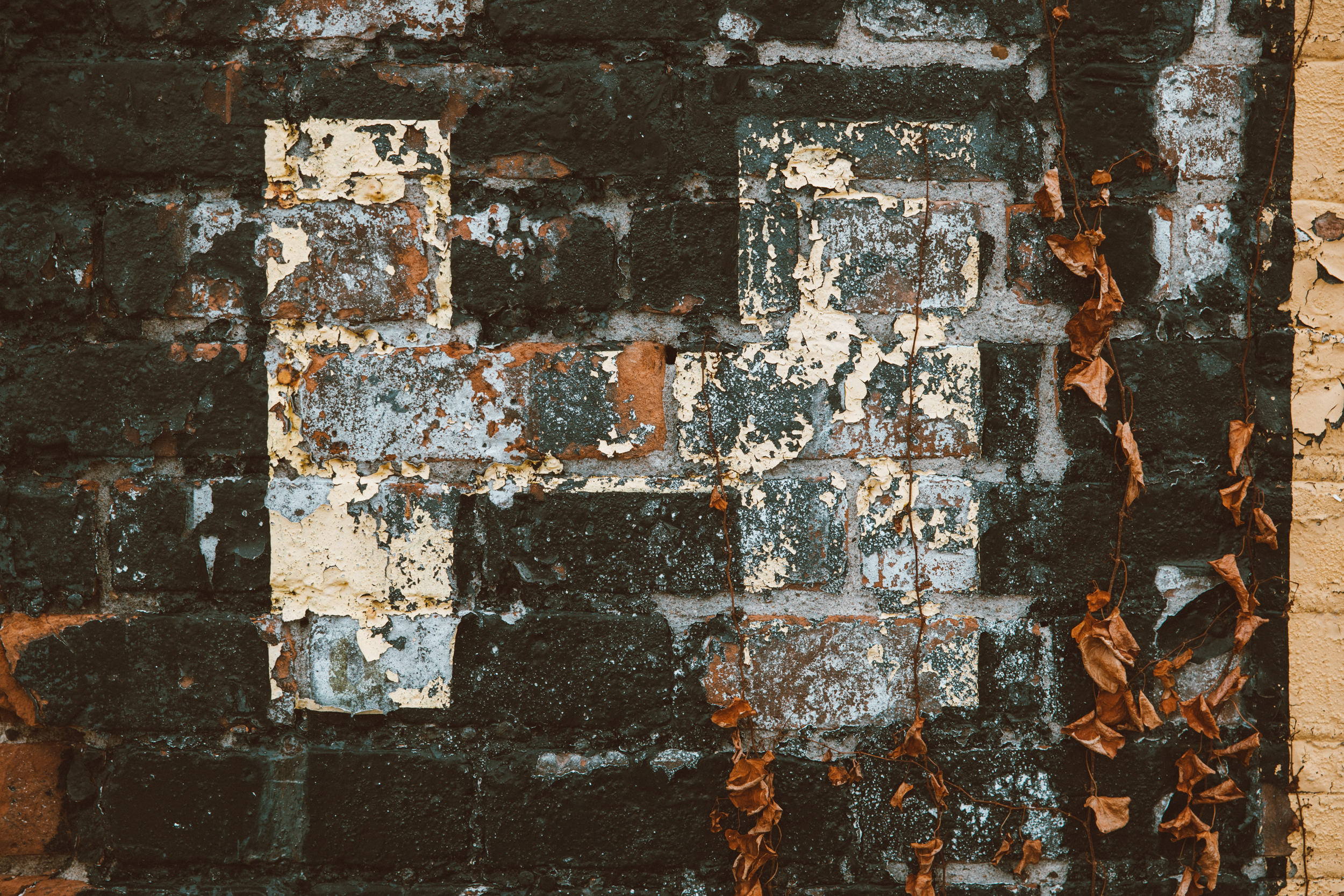 Gritty wall