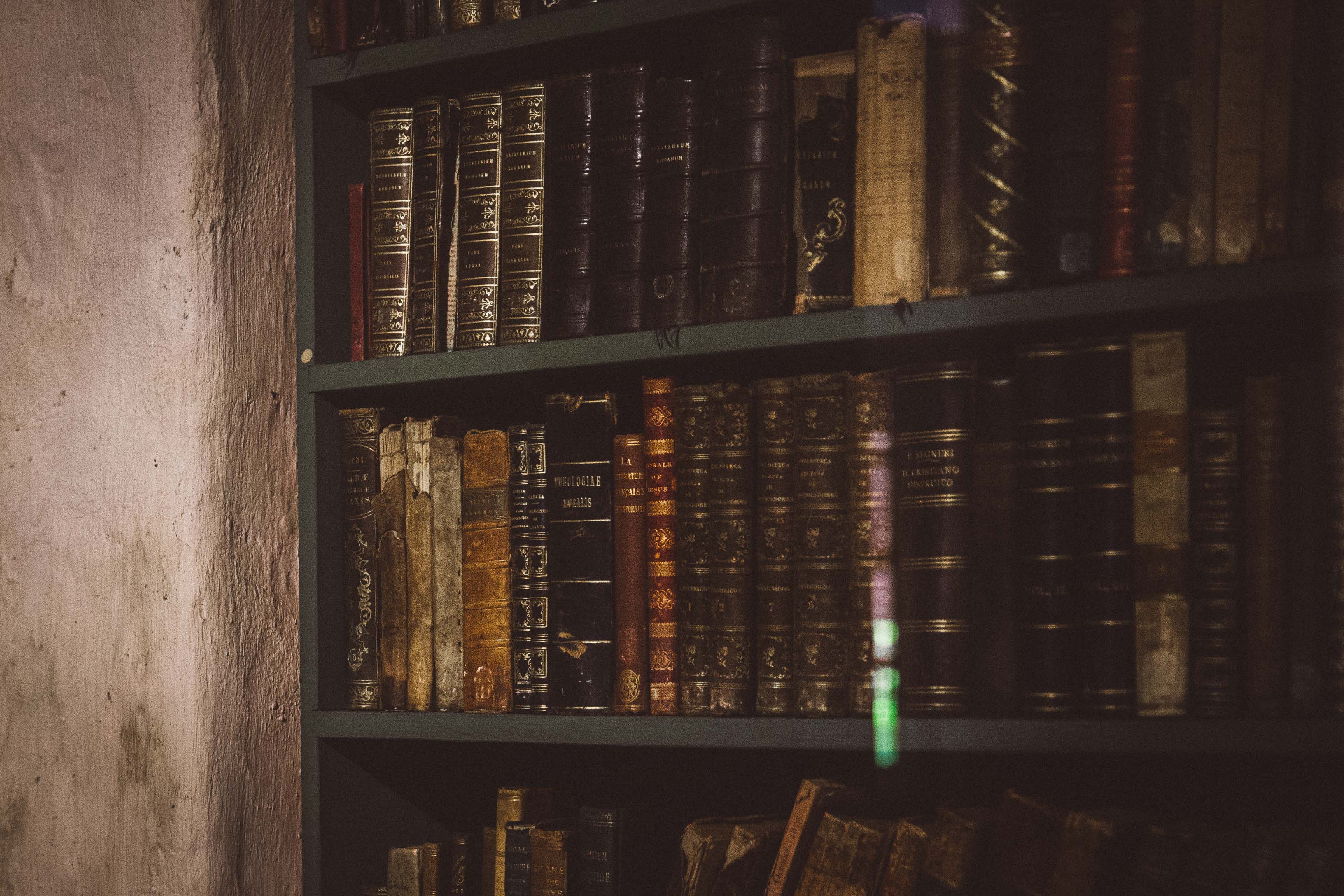 Shelf filled with books