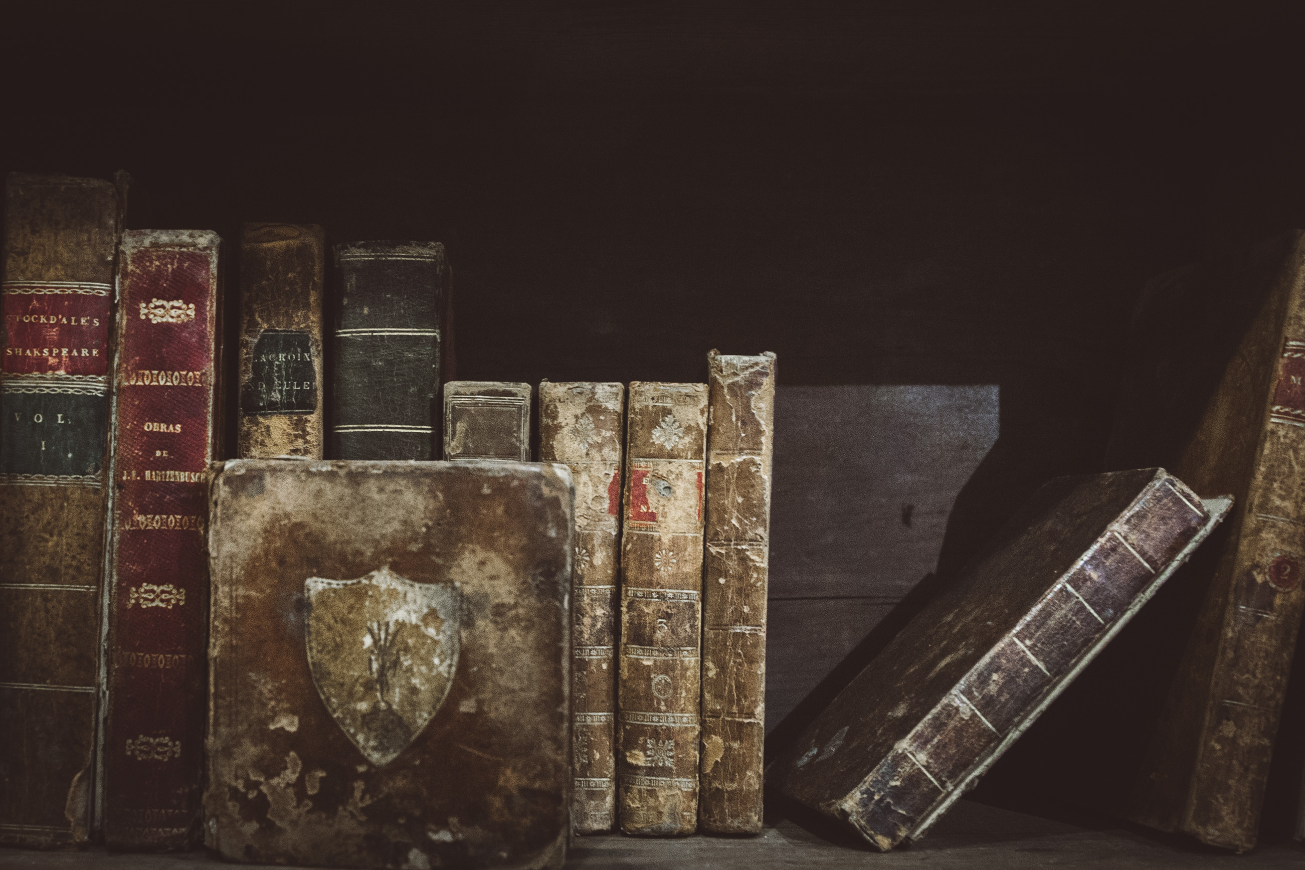 Vintage Bibles on shelf