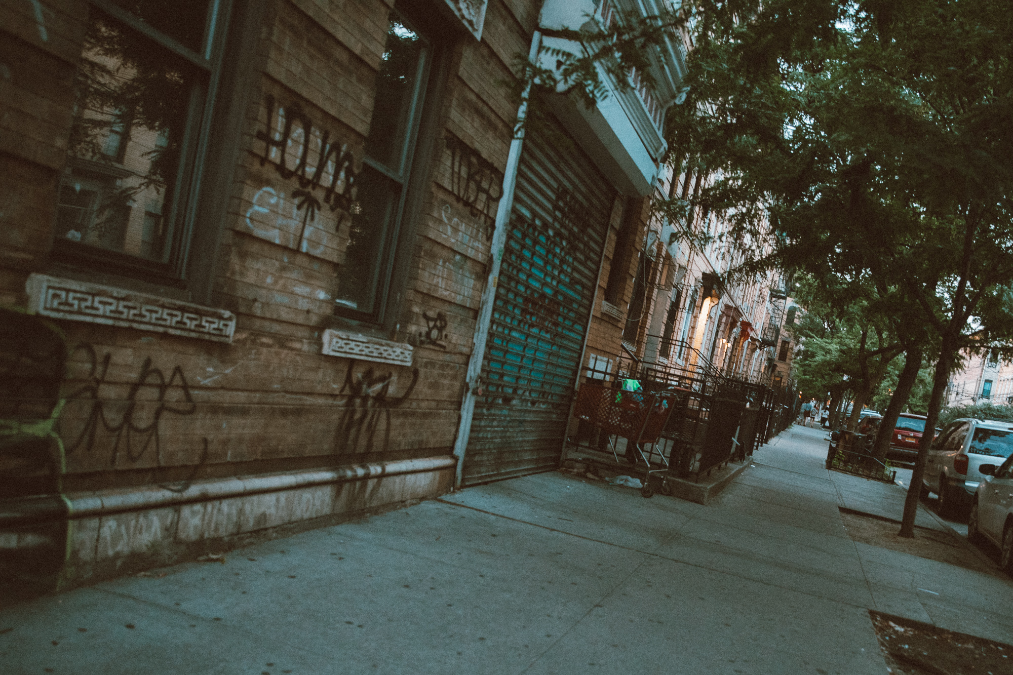 Shadows of brooklyn