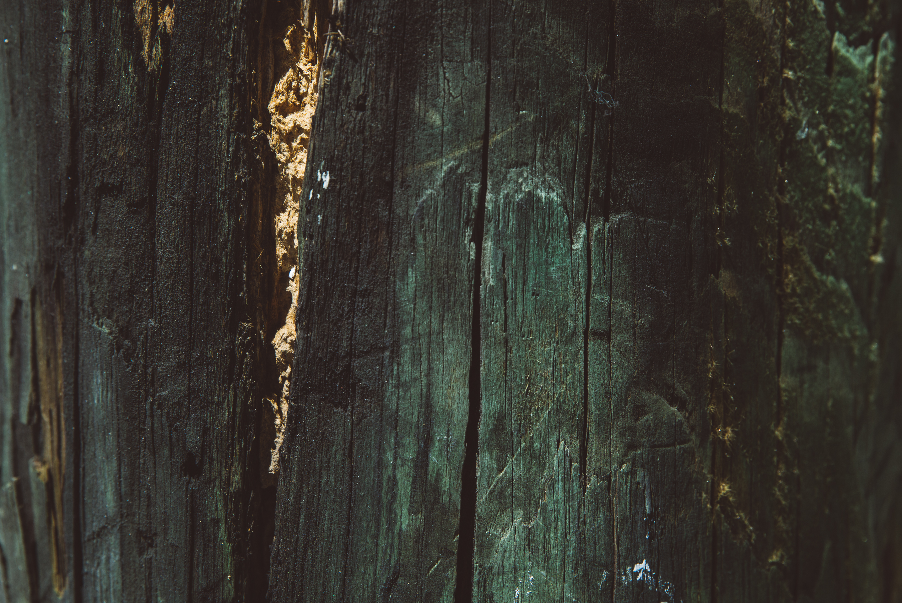 Character in the grain
