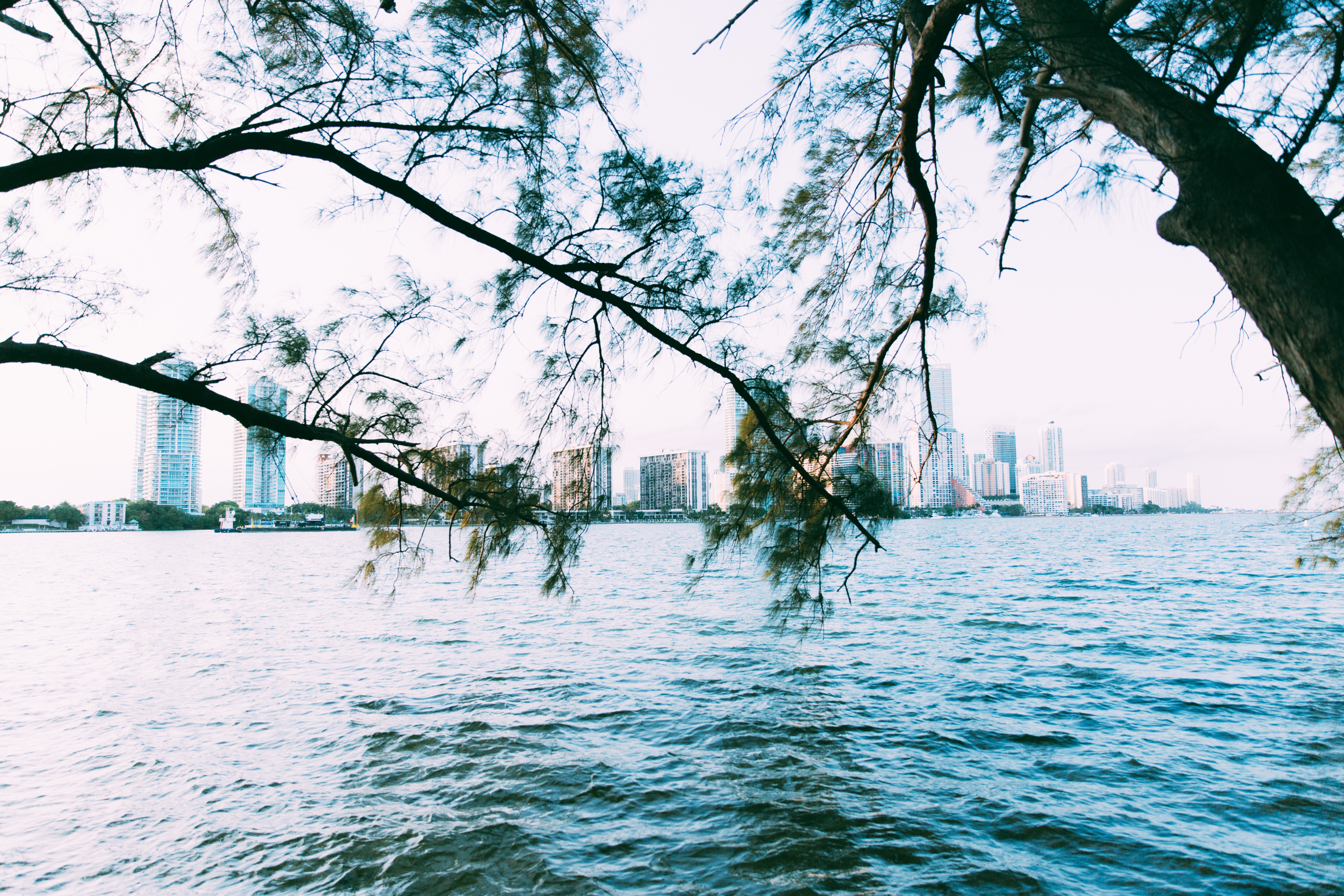 A water view