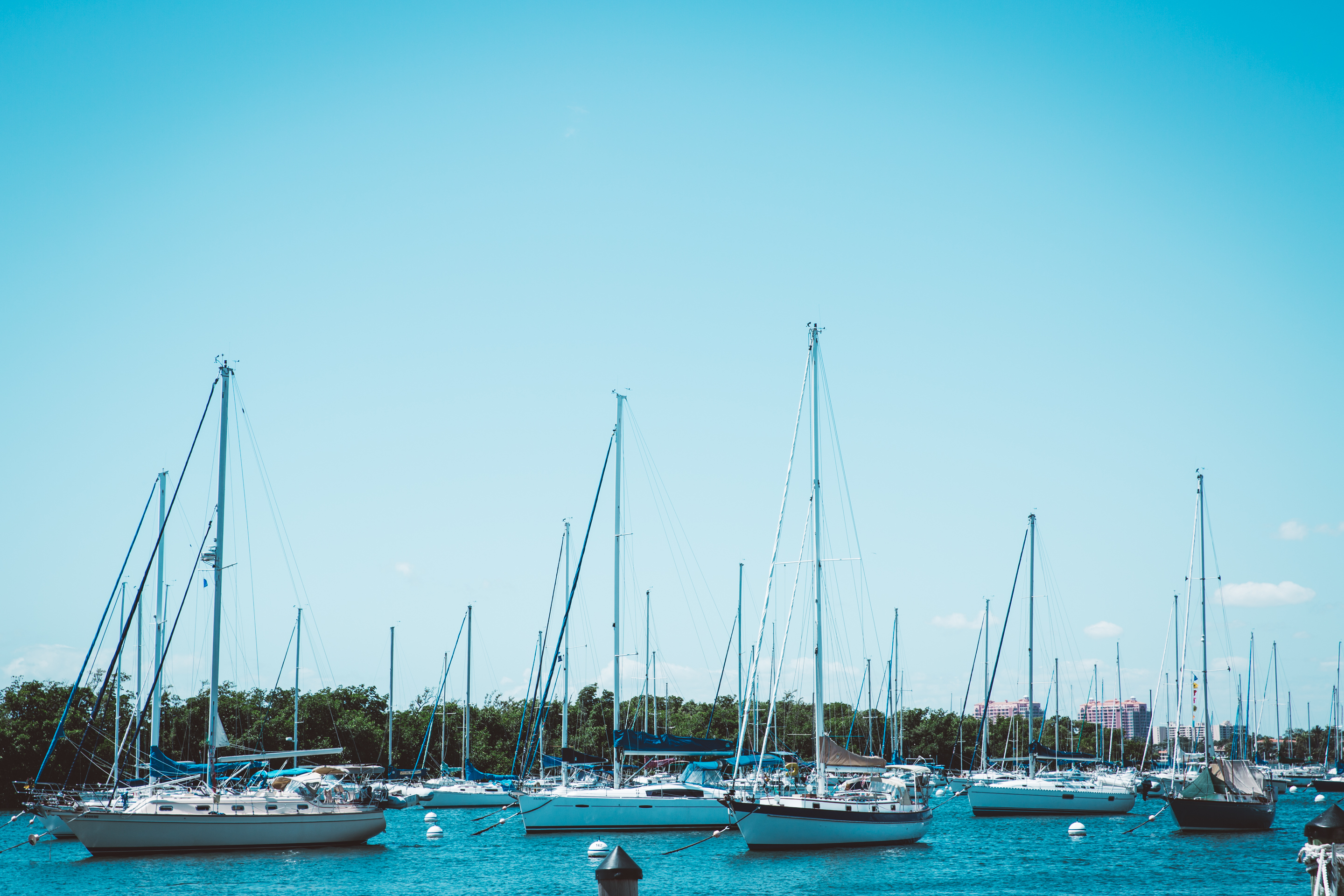 Sailboats