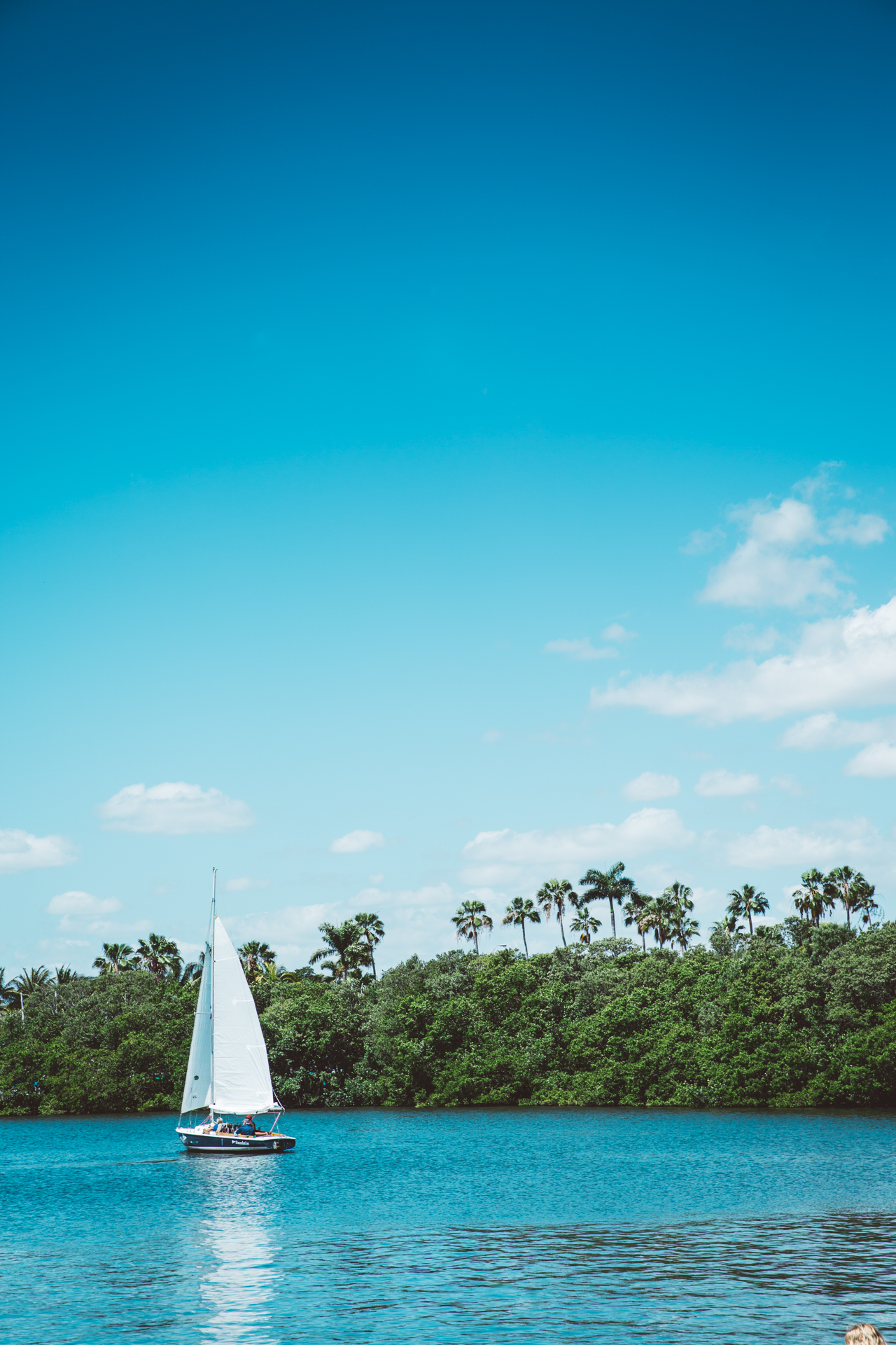 Solitary sailboat