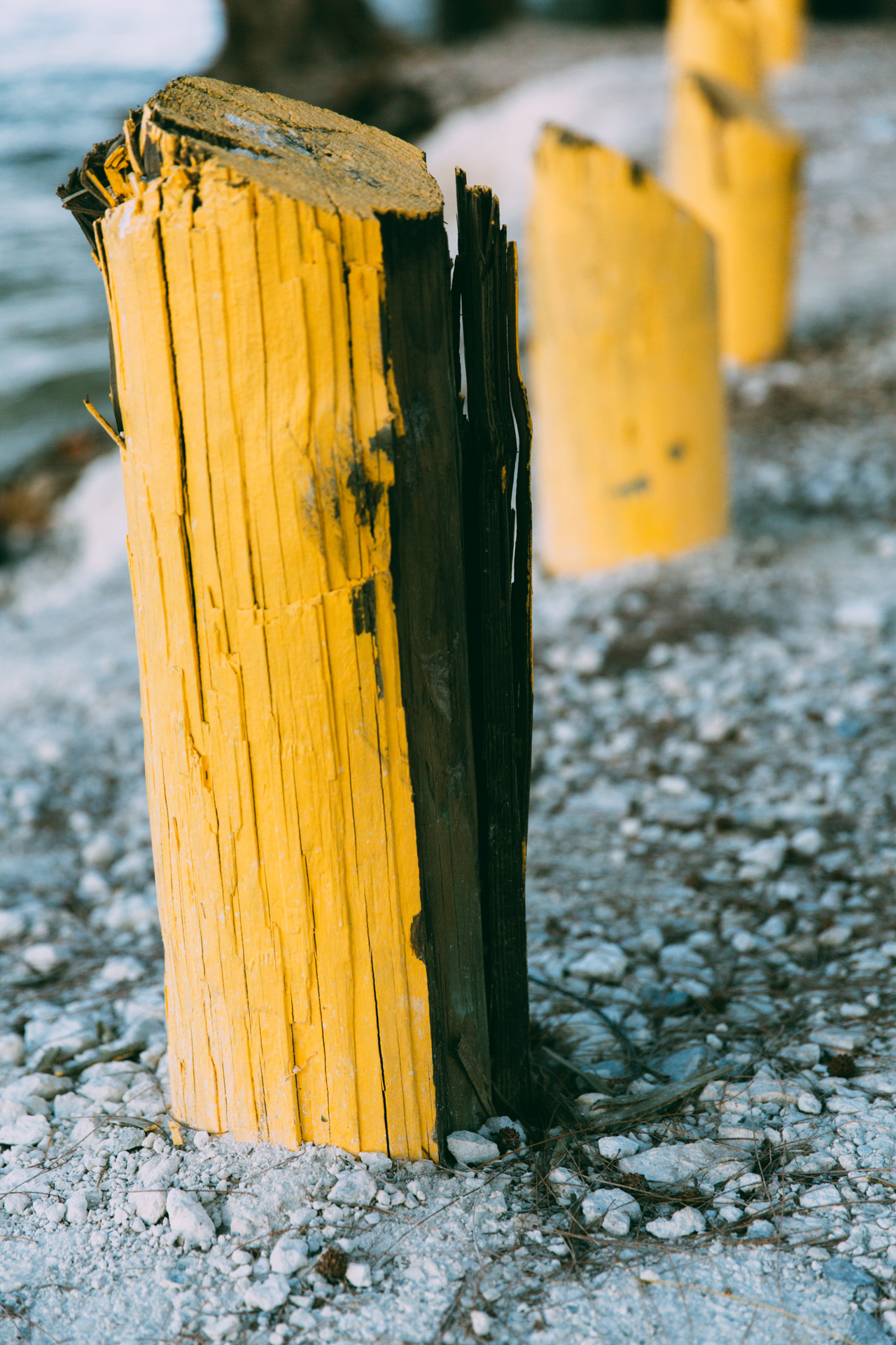 Yellow posts in a row