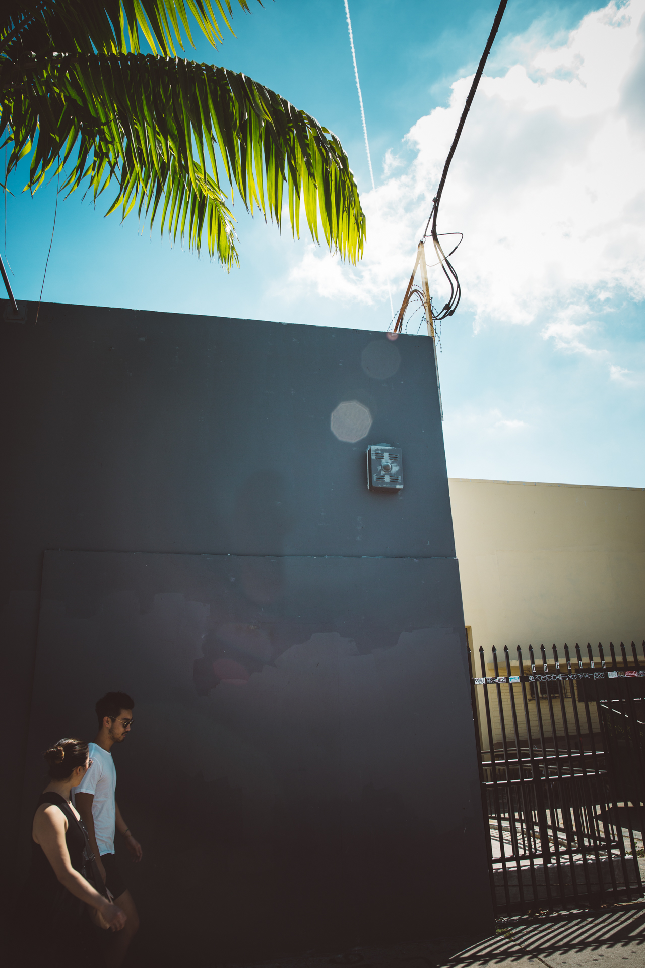 Miami backdrop