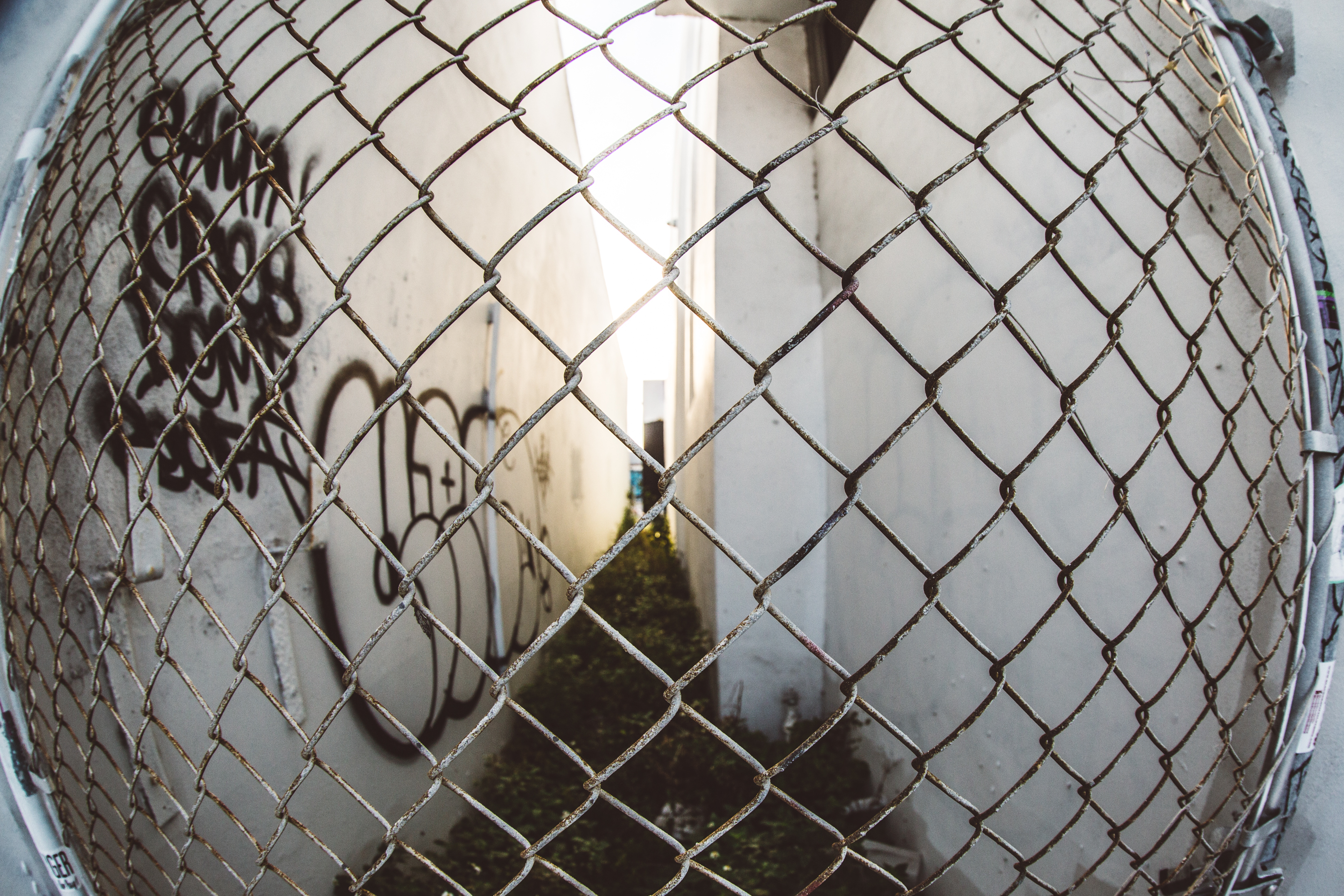The wall between us