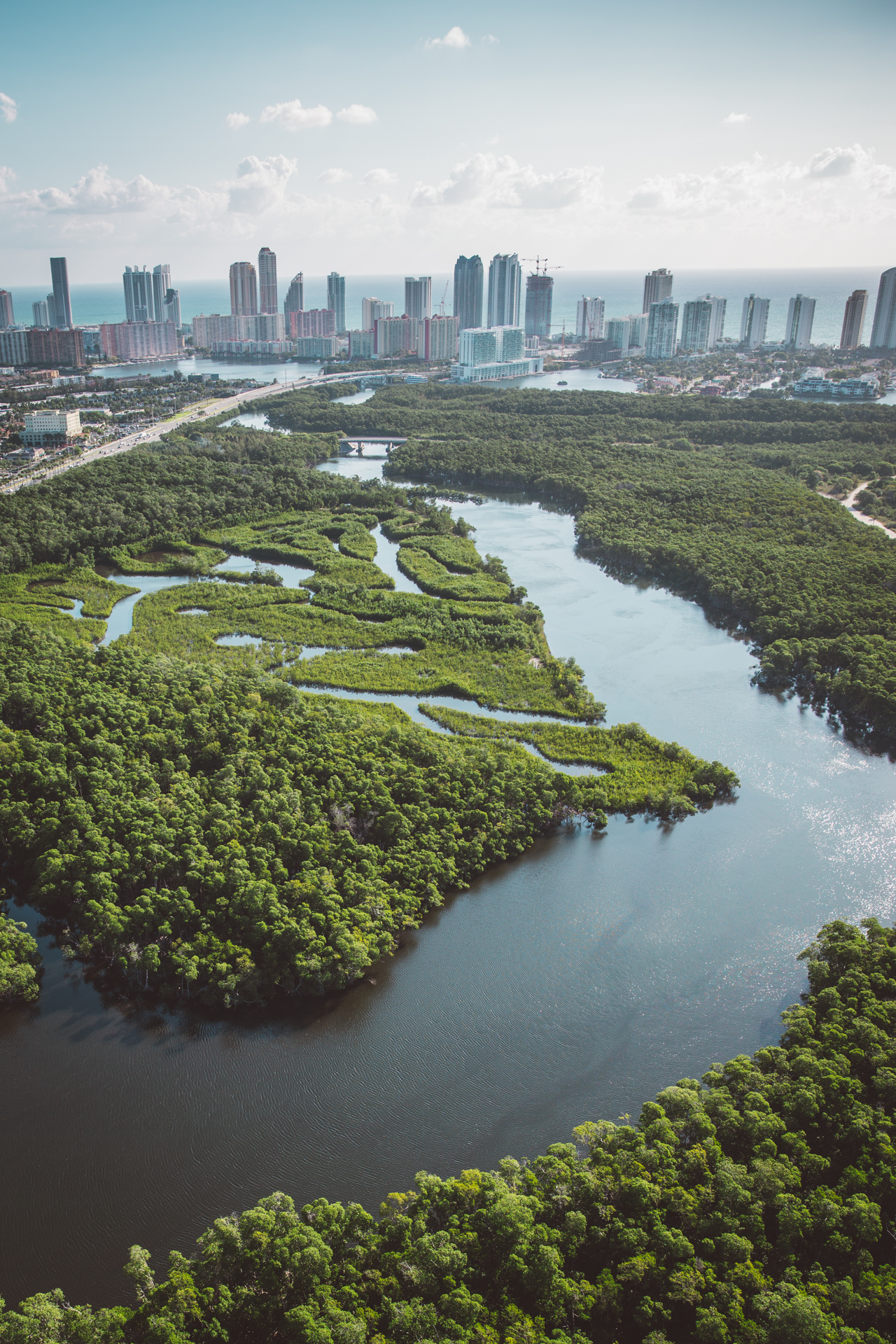 Miami everglades