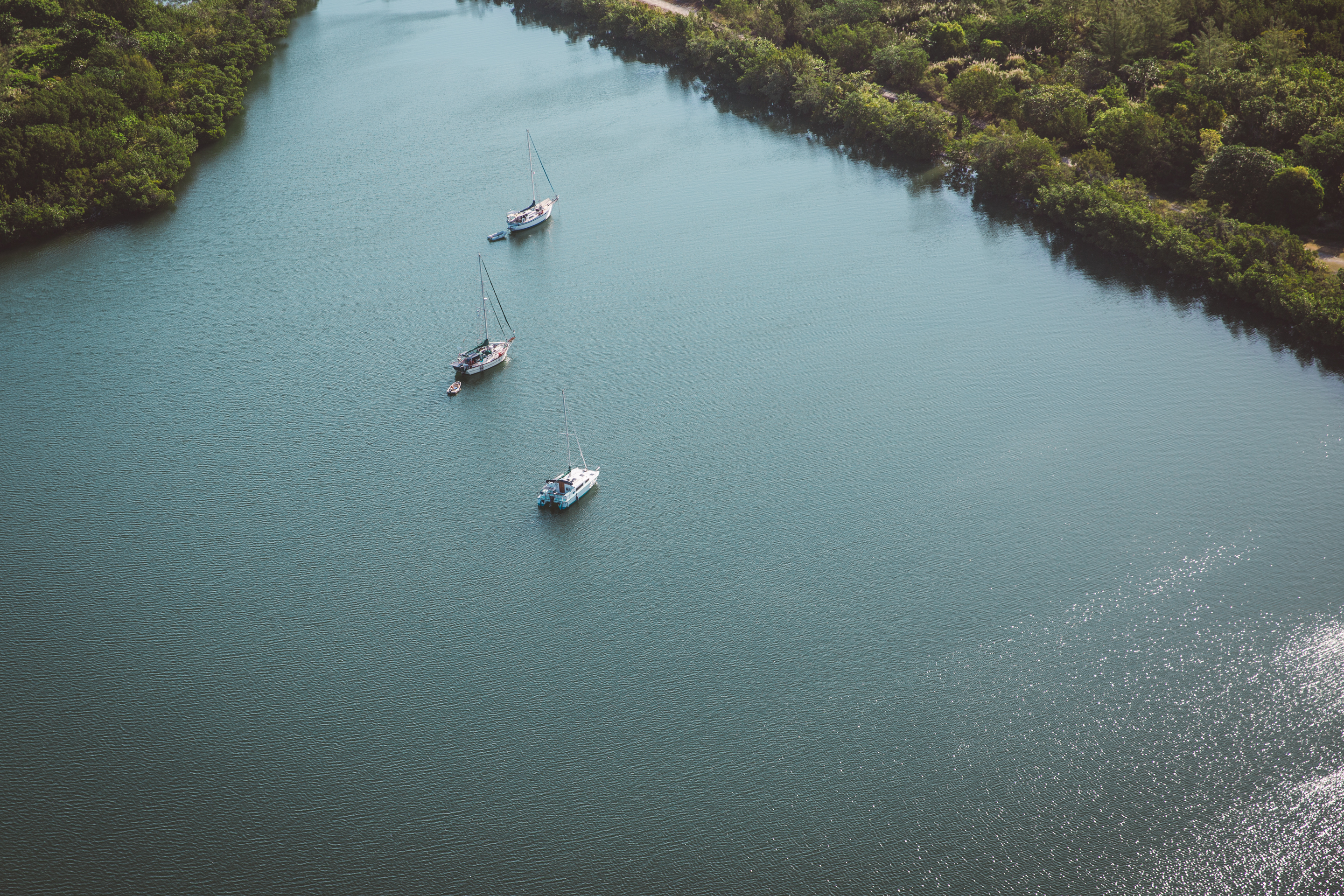 Evergreen inlets