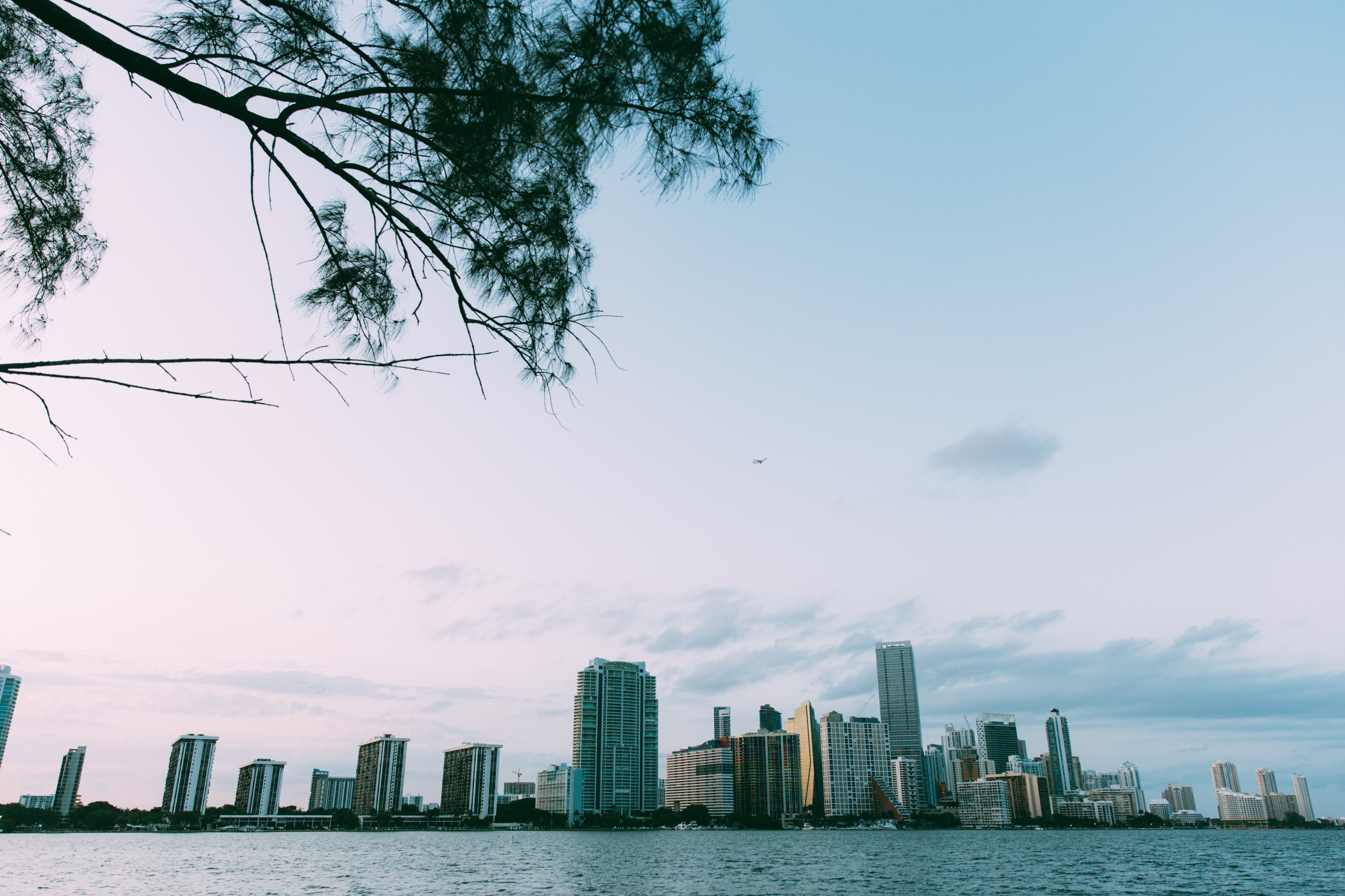 Miami Skylines