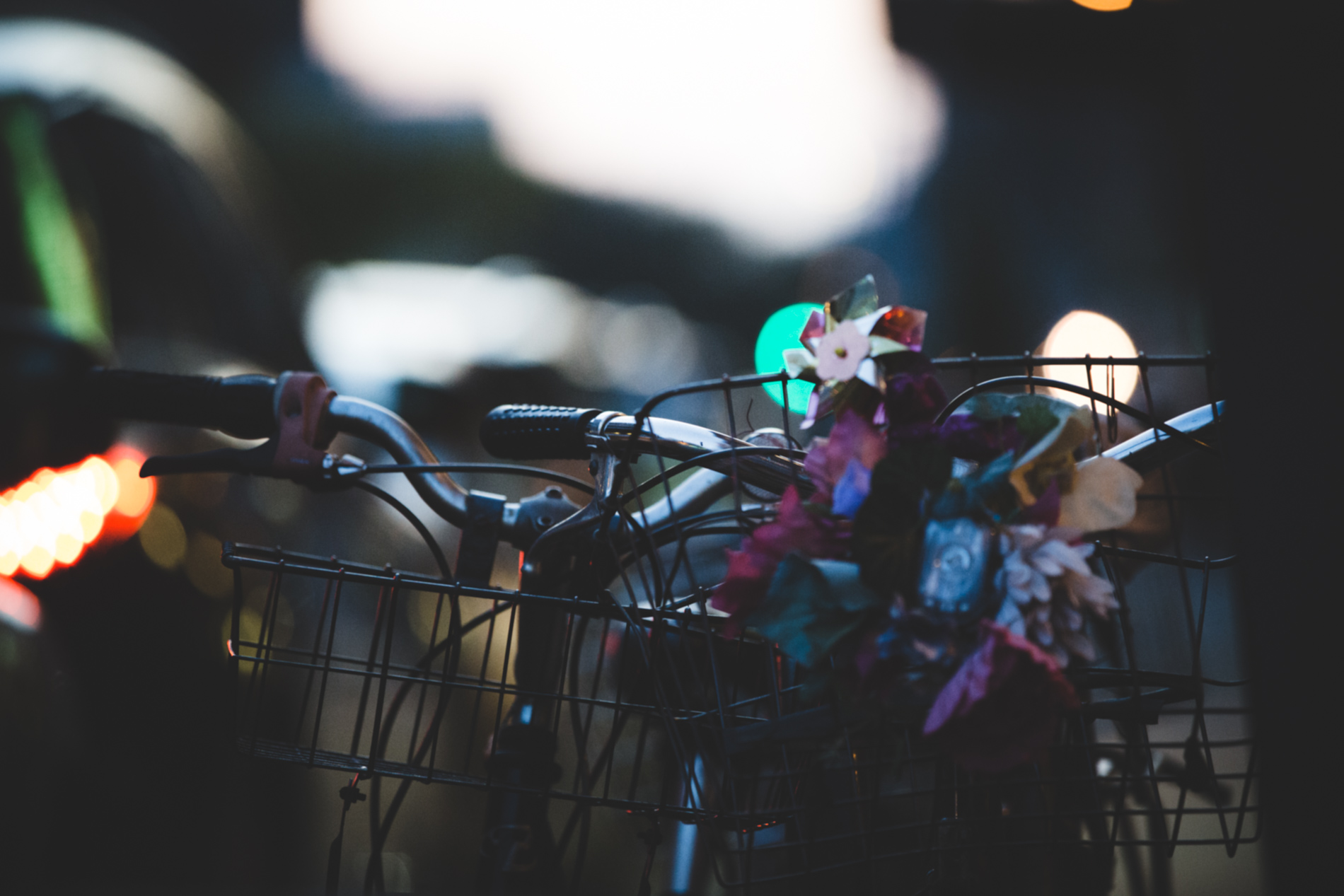 bikes and flowers at night