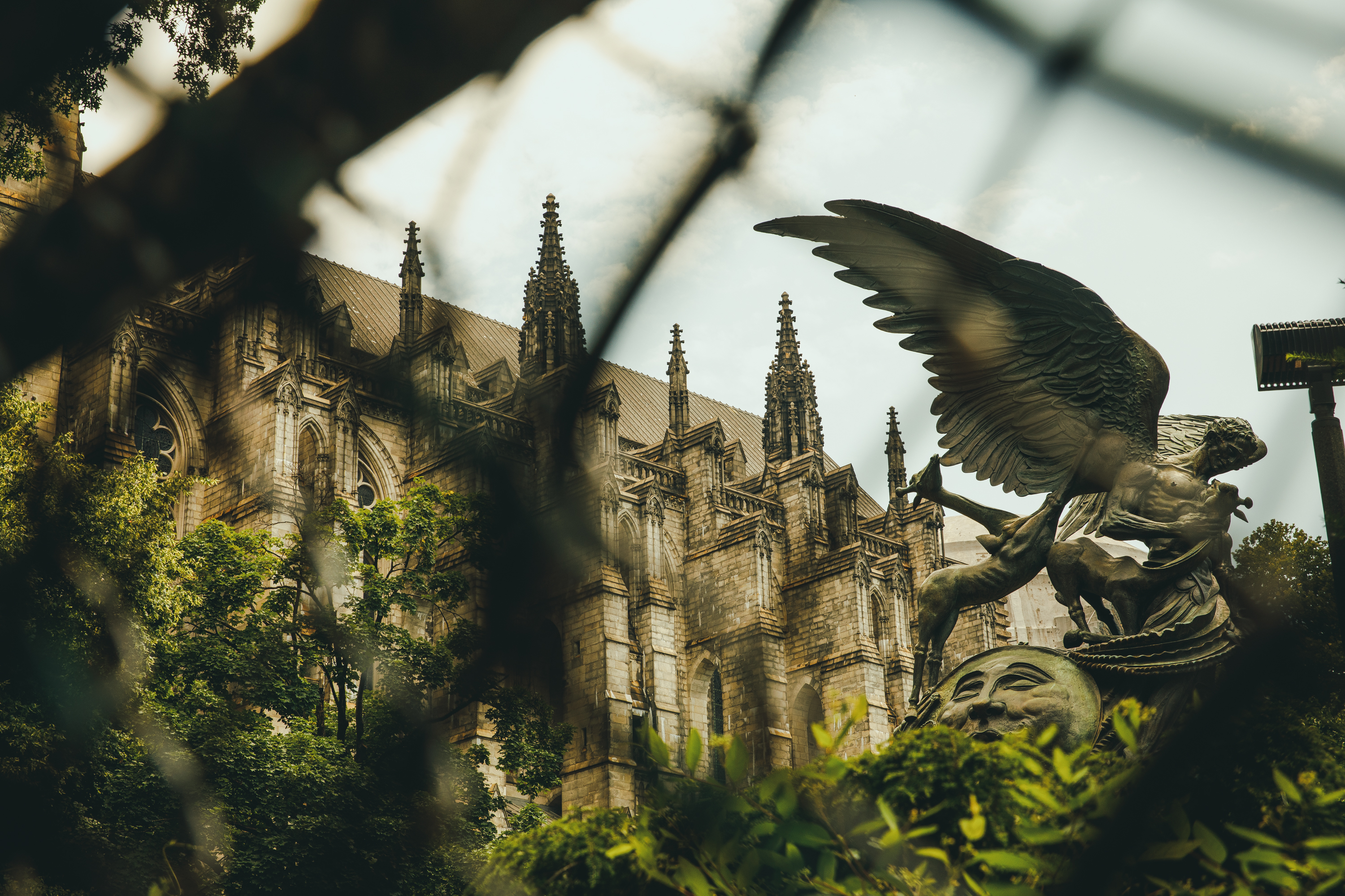 Eagle through fence