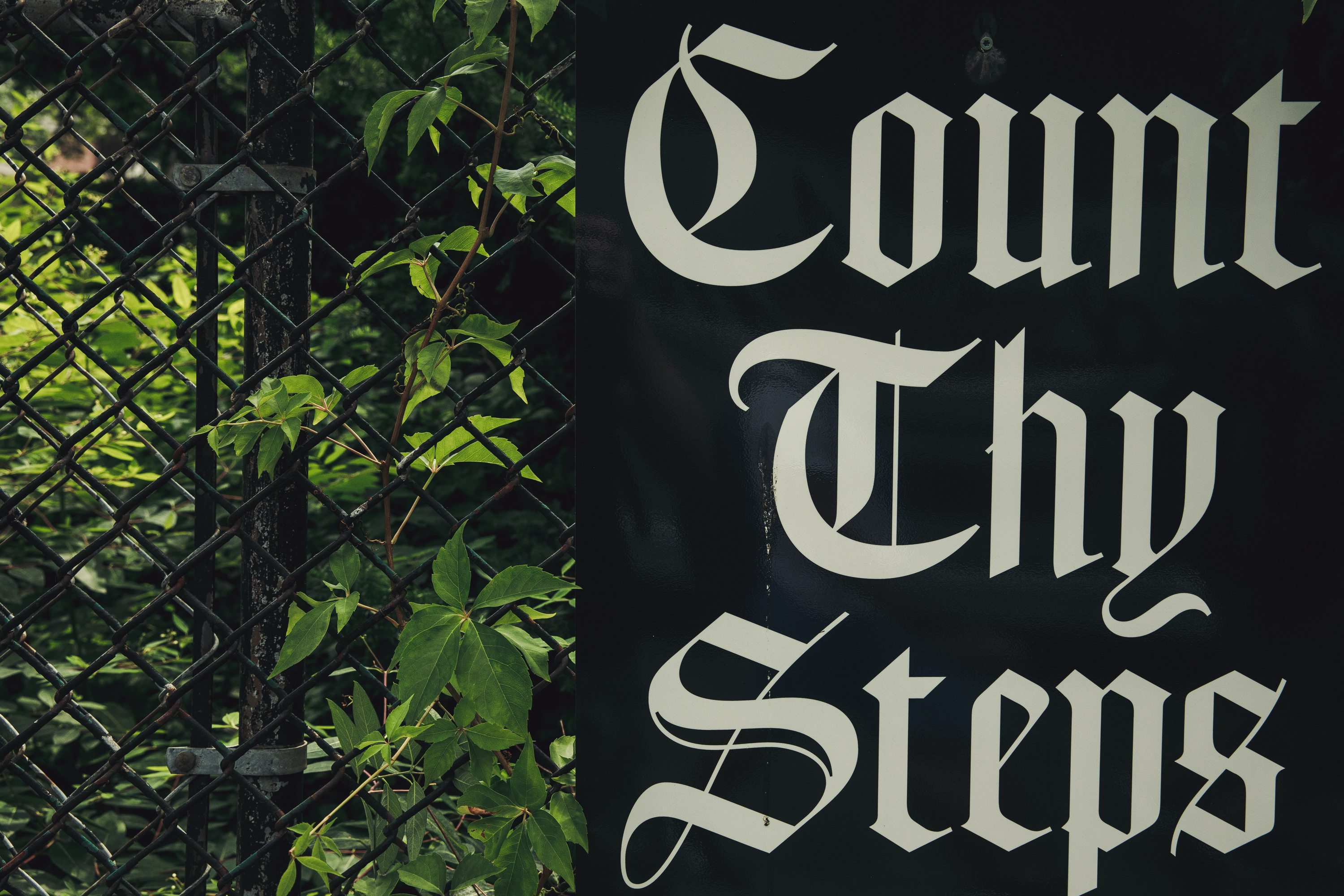 Count thy steps
