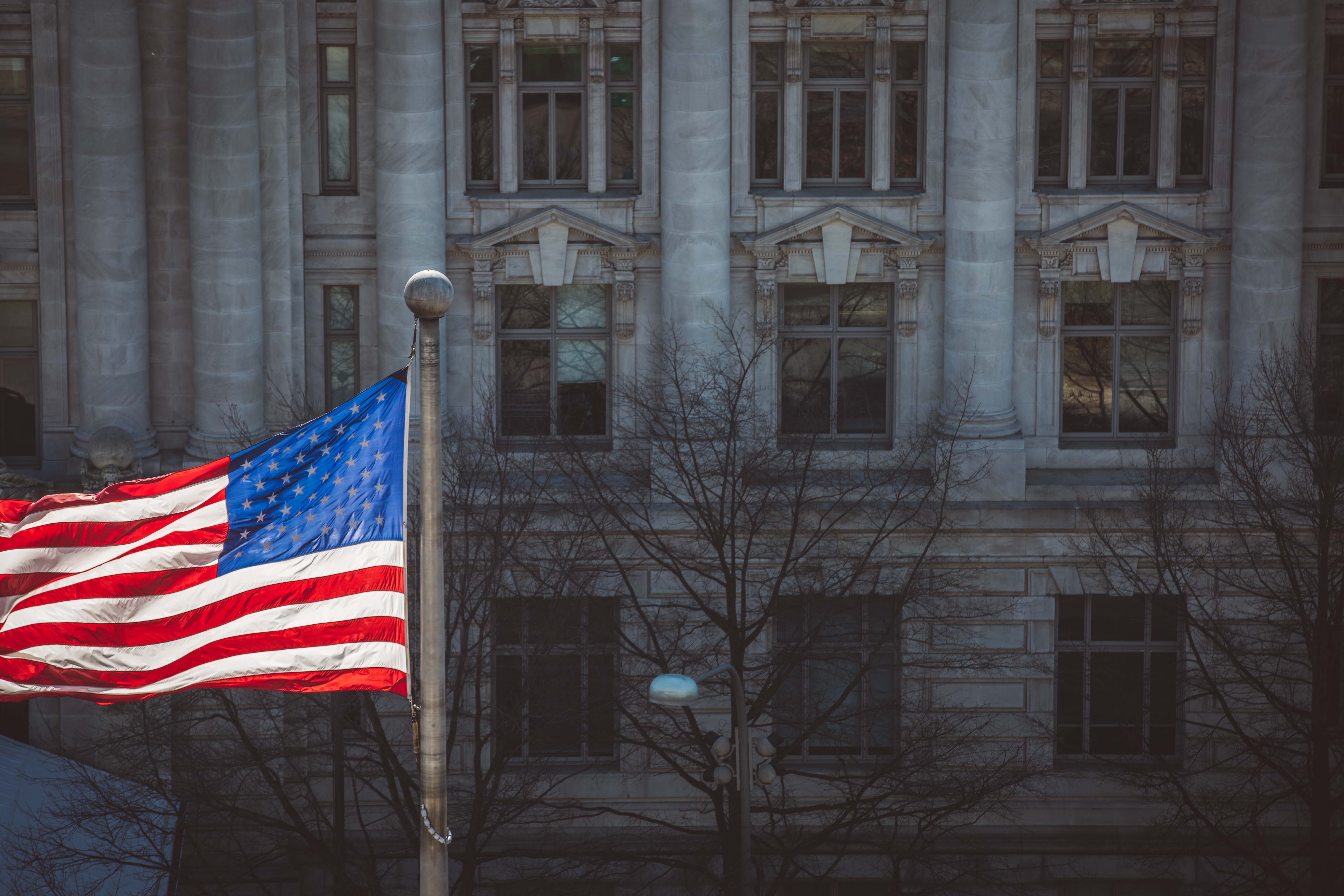 Flag in the wind