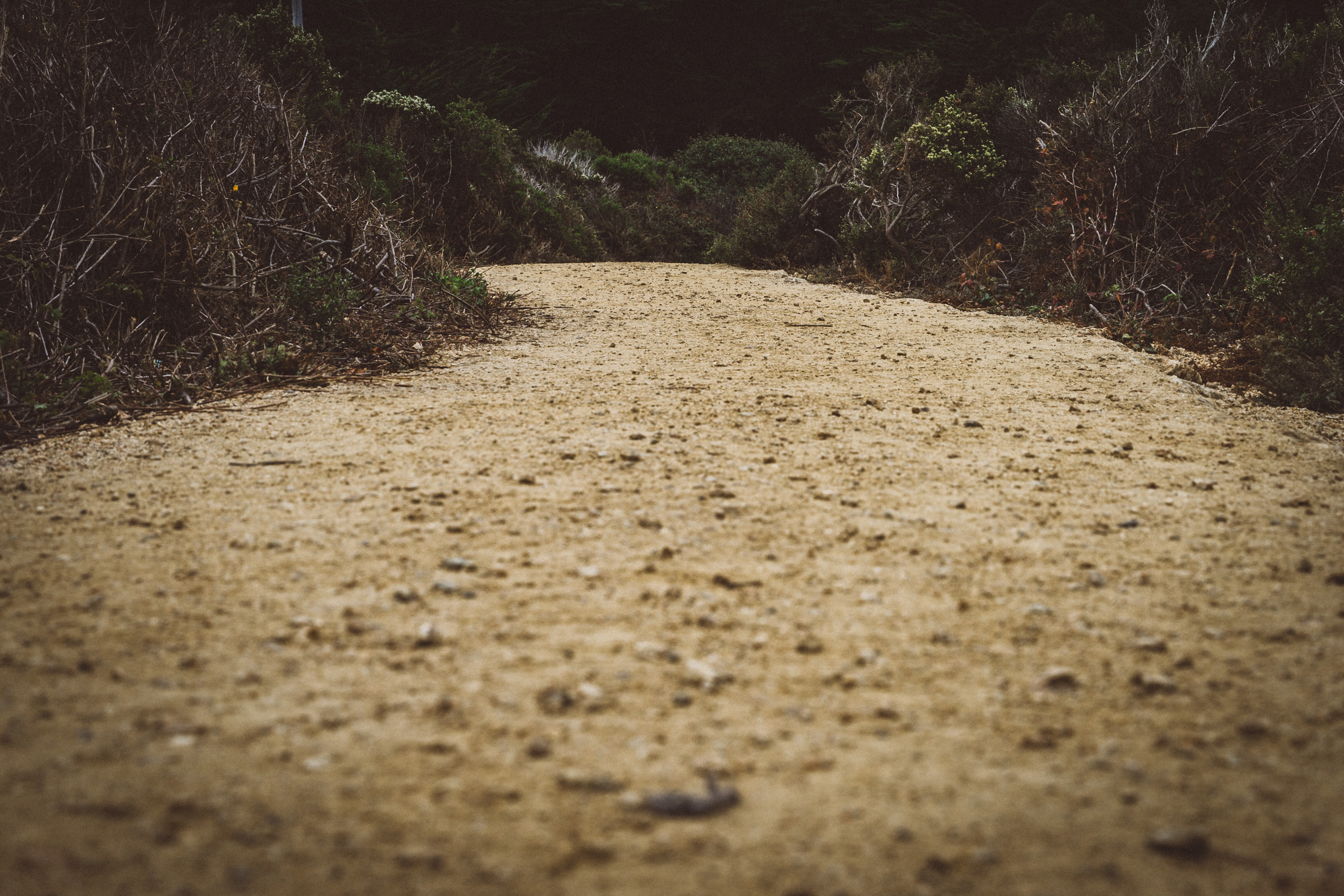 dirt path