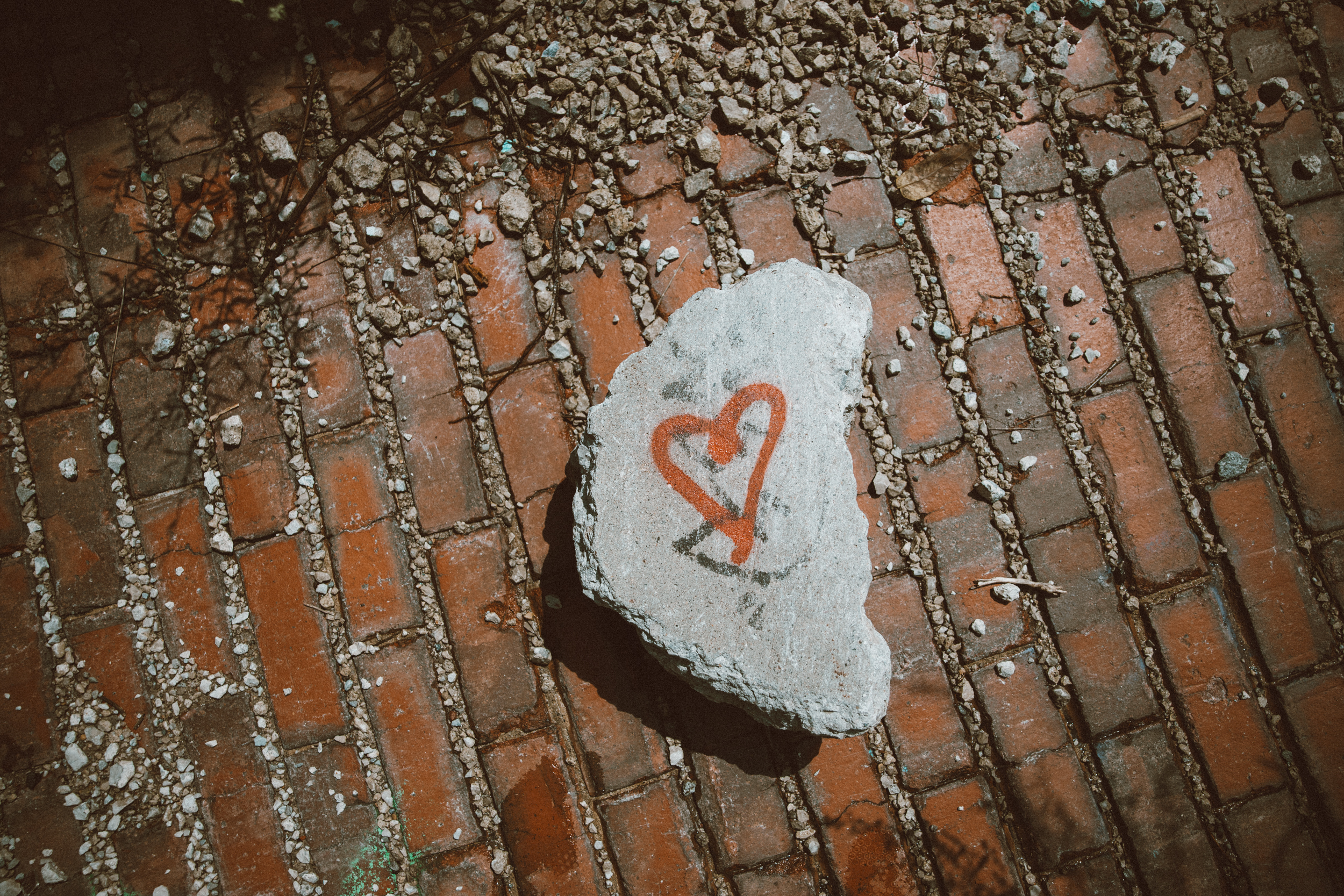 Heart