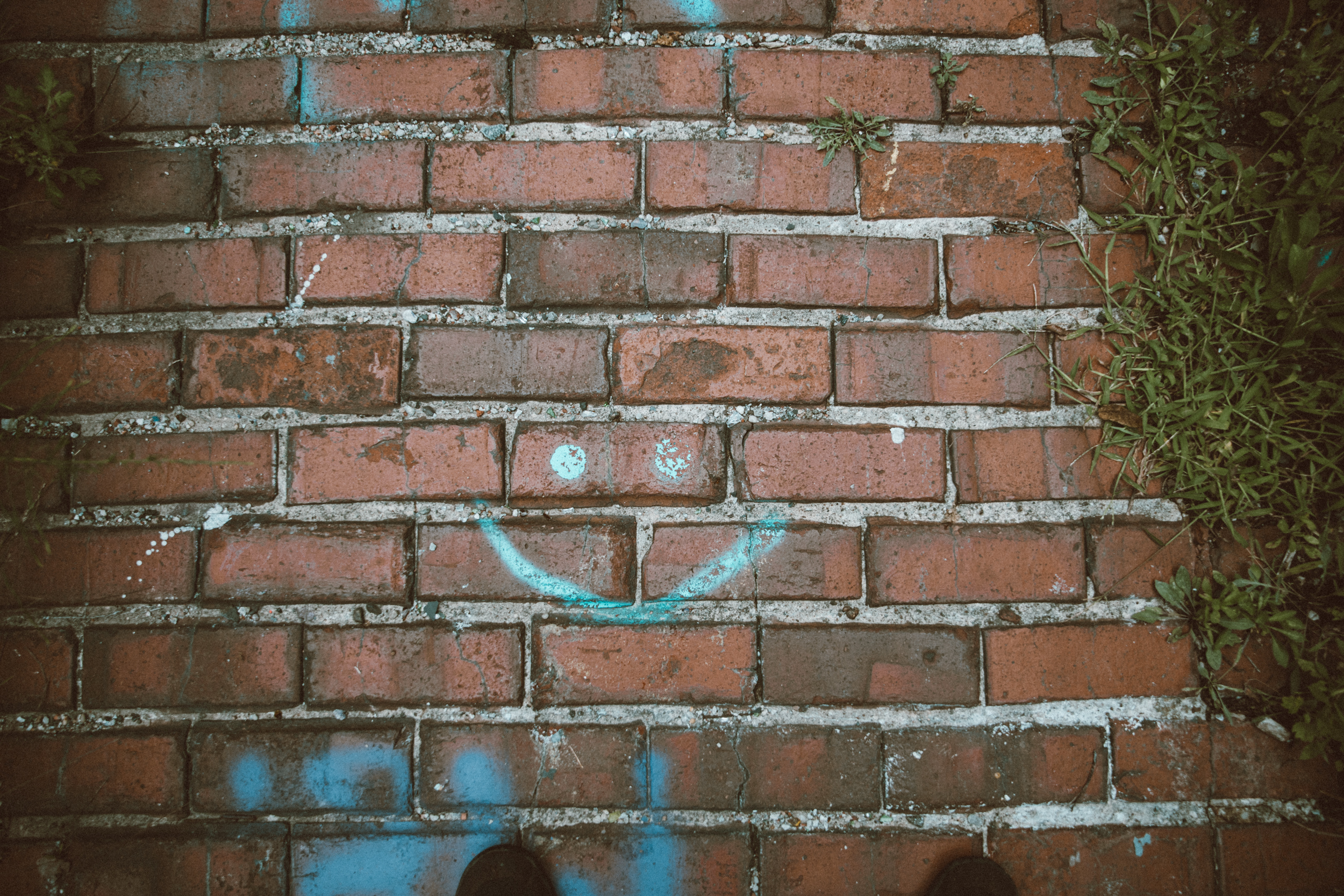 Smiley