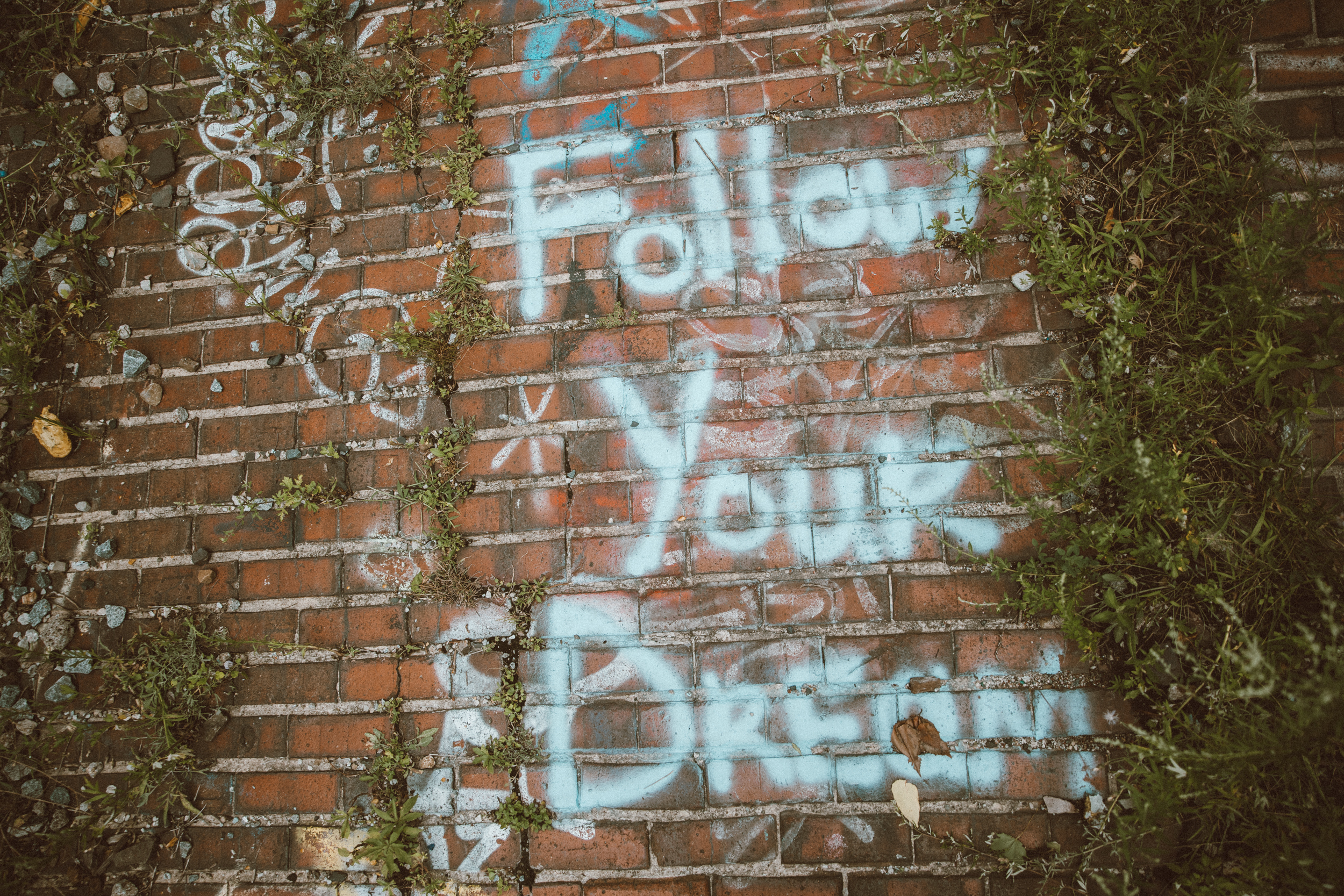 Follow your dreams