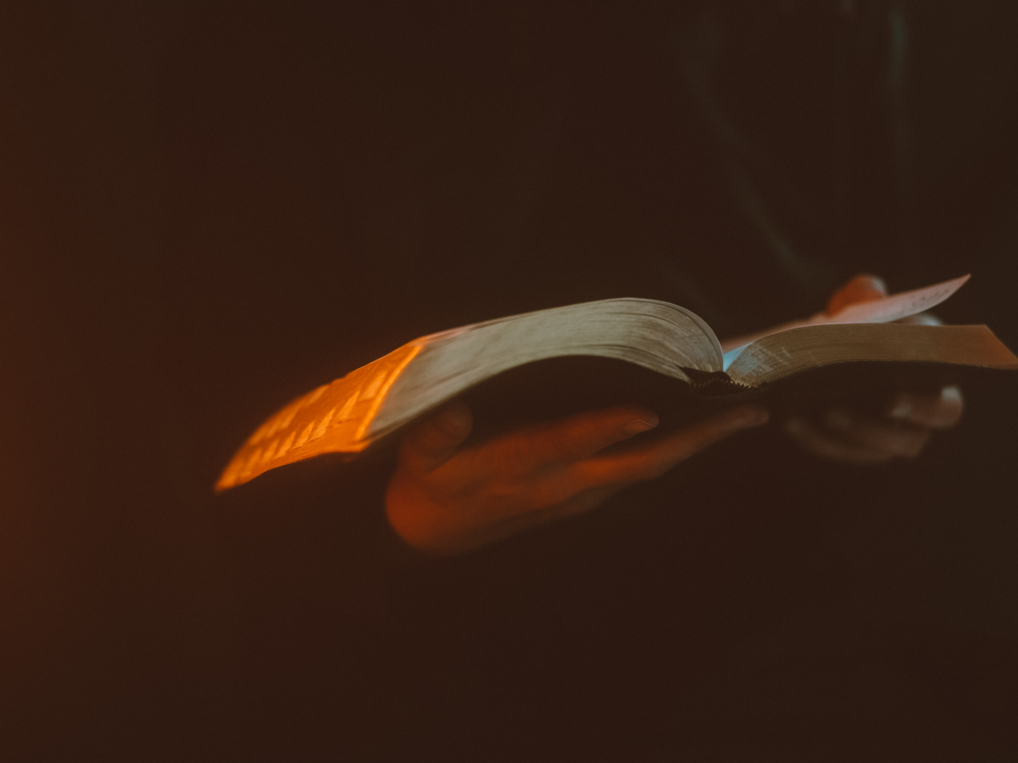 Reading the word