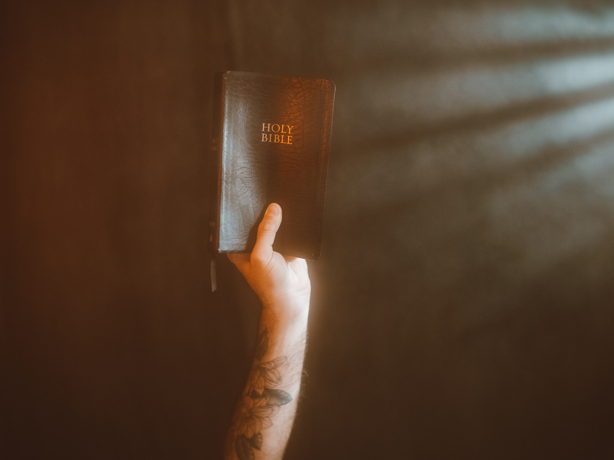 Light on the bible