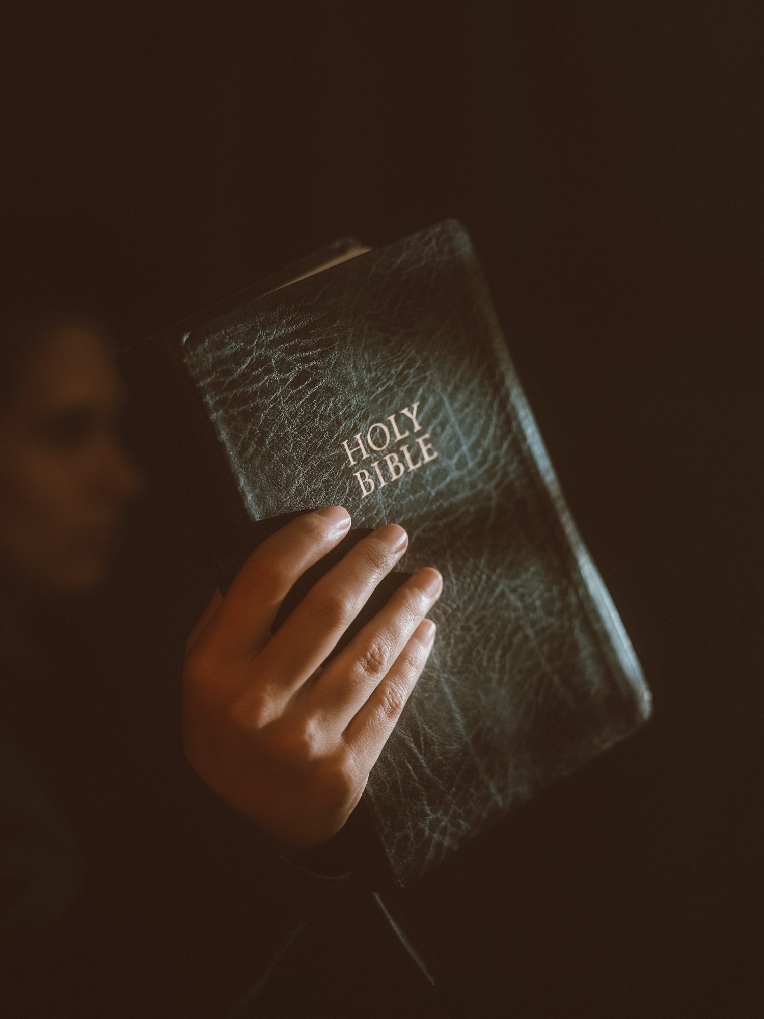 Shadowed Bible