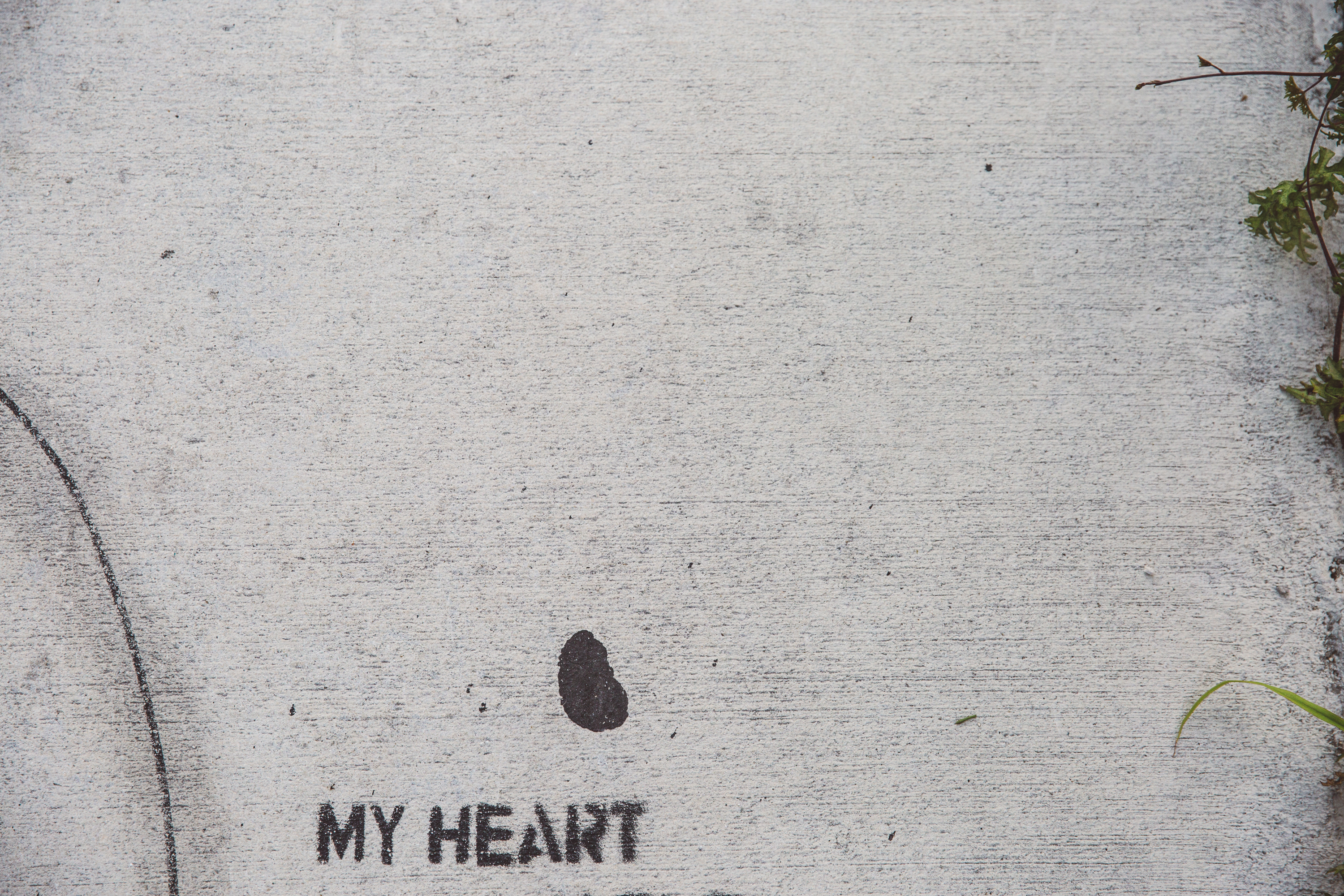 My heart