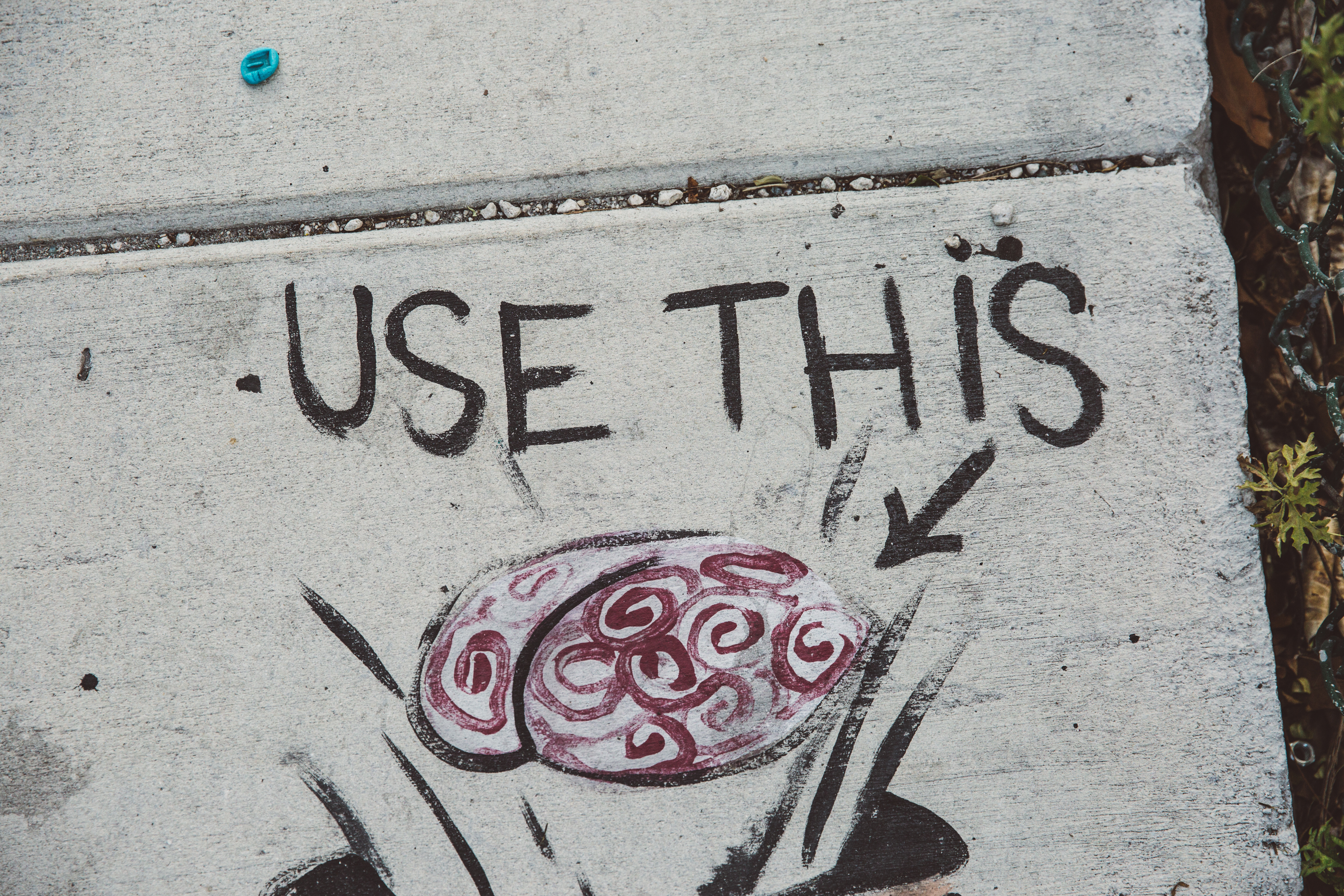Use your brain