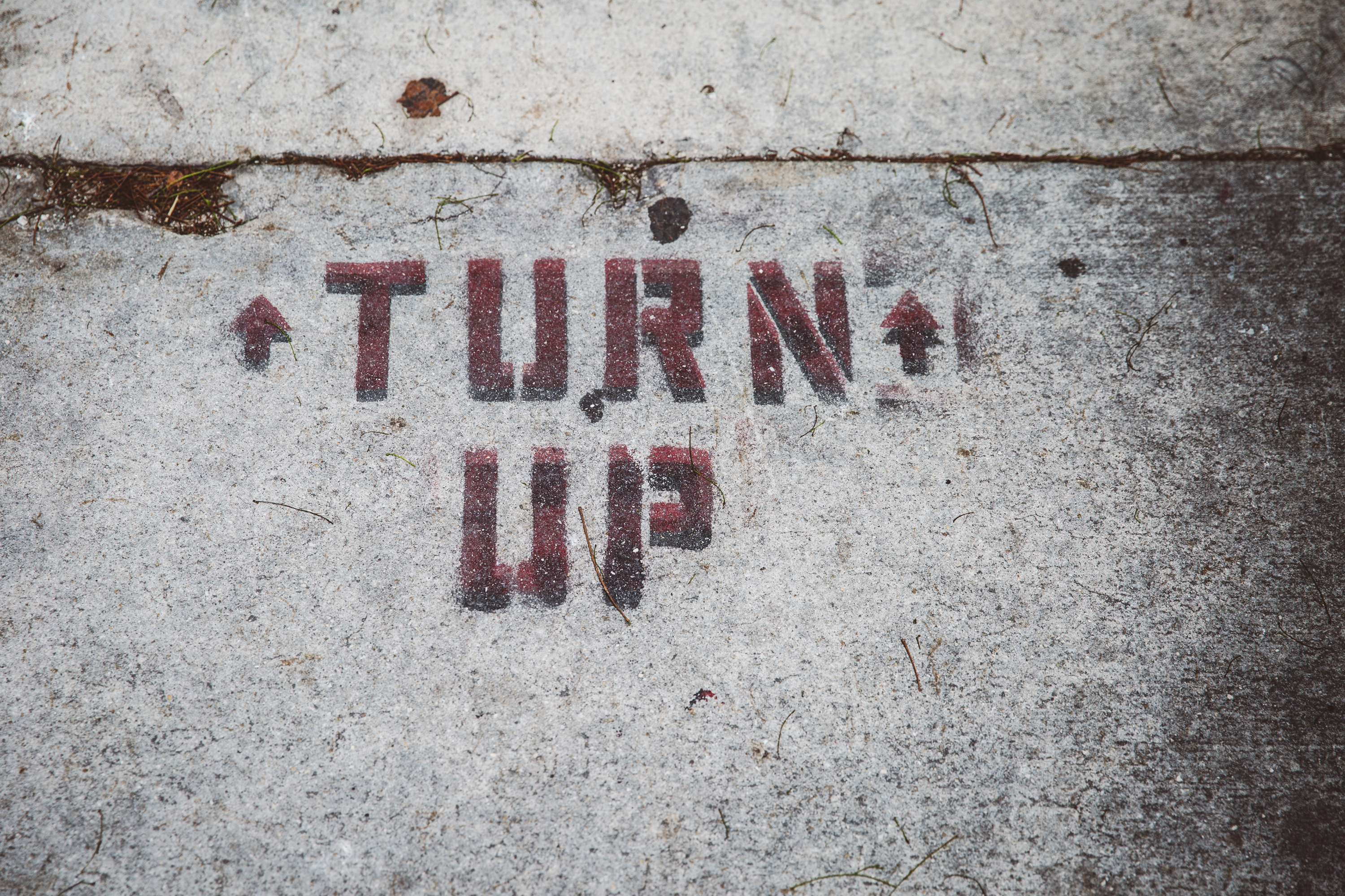 Turn up 2