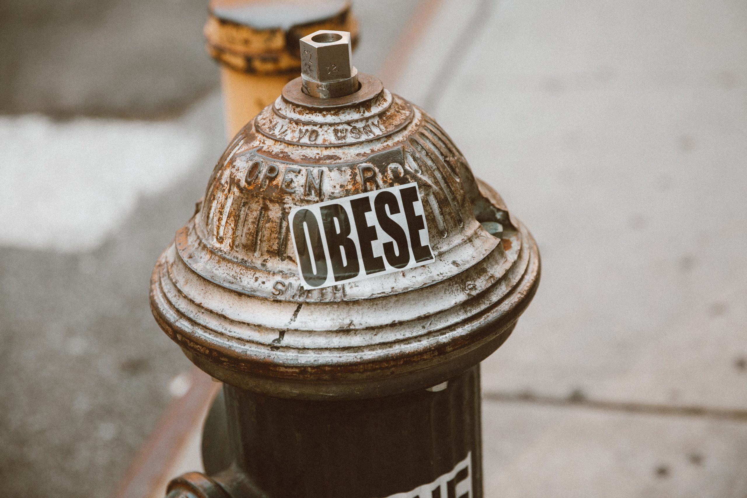 Obese