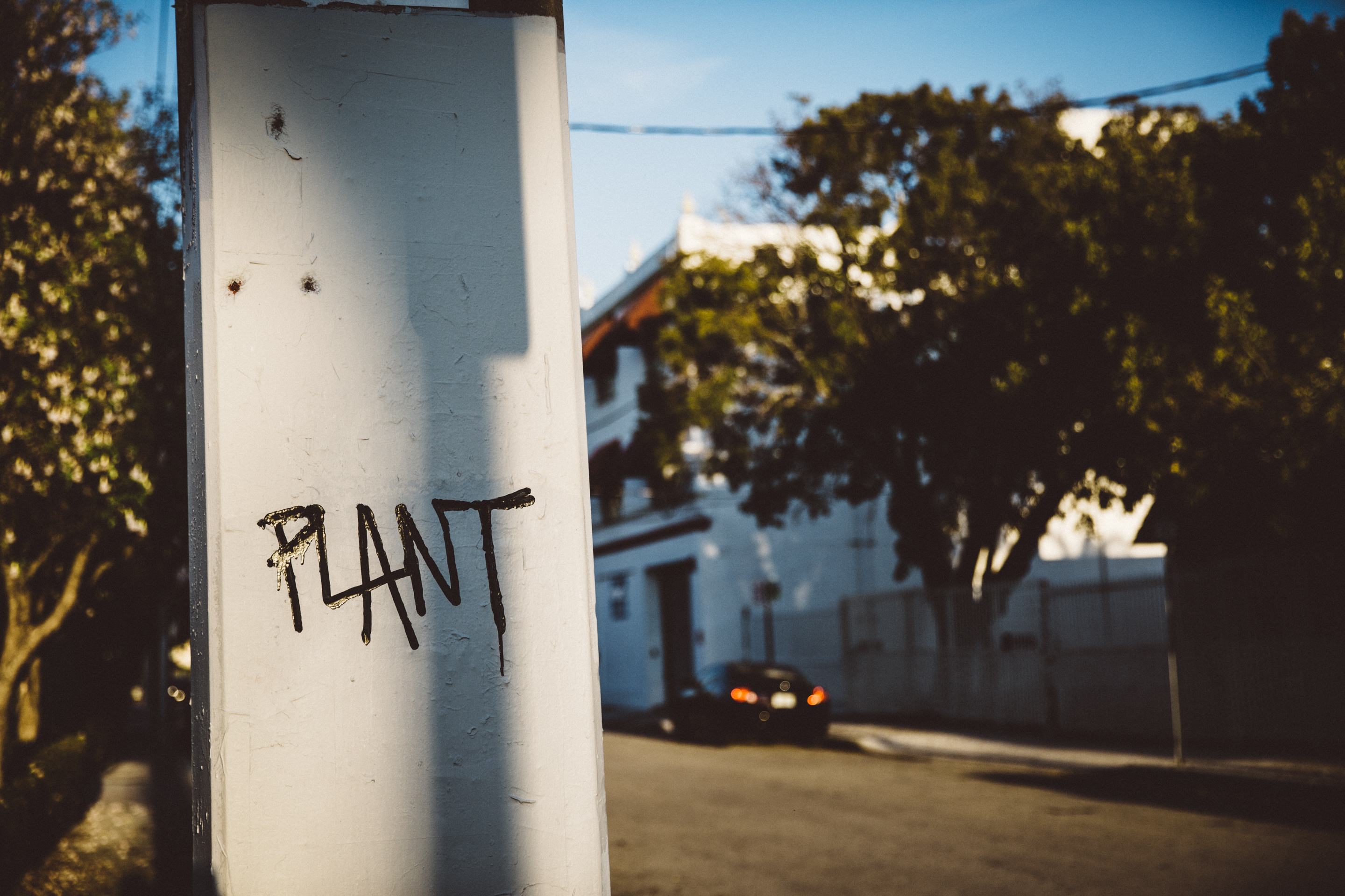 Plant
