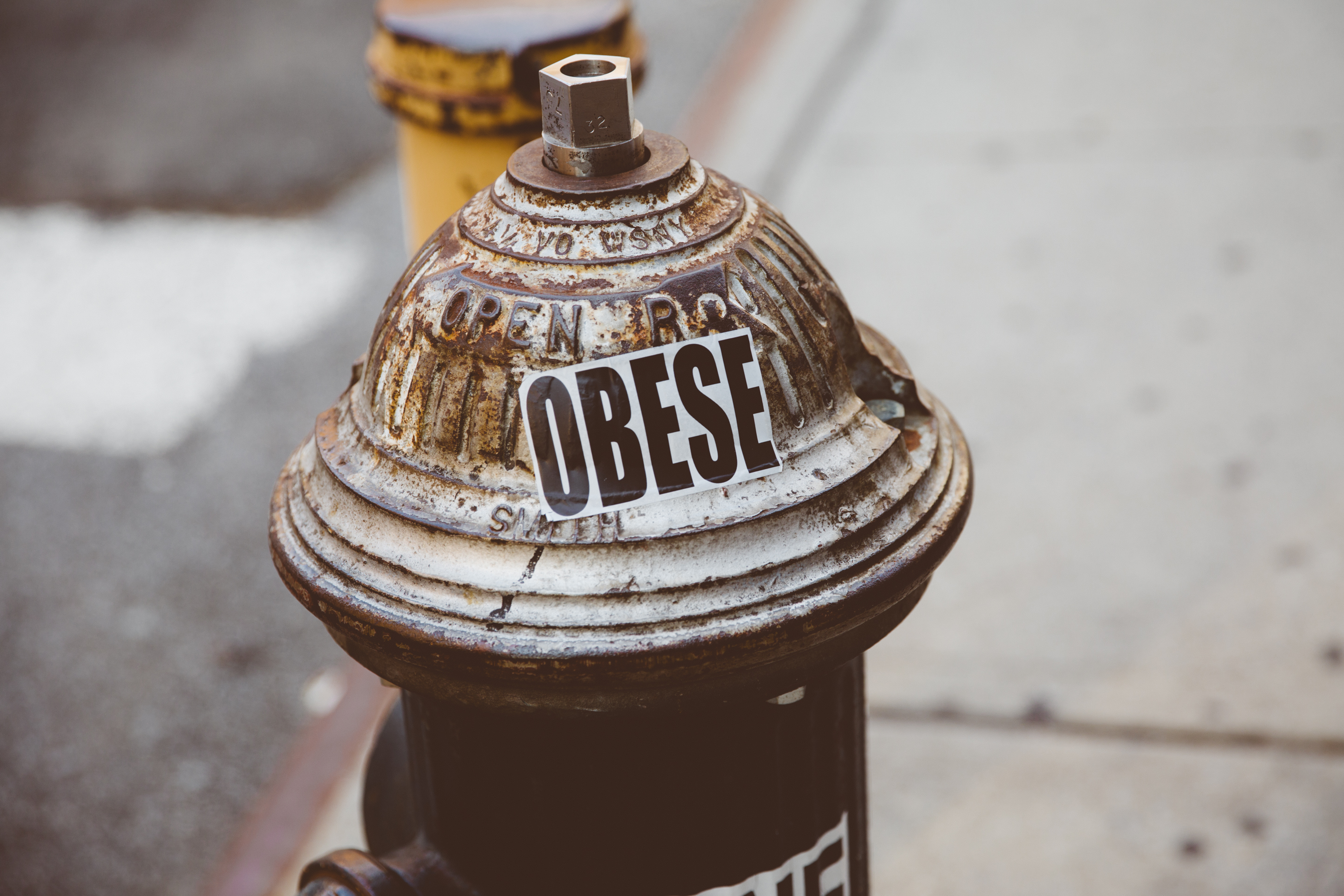 Obese