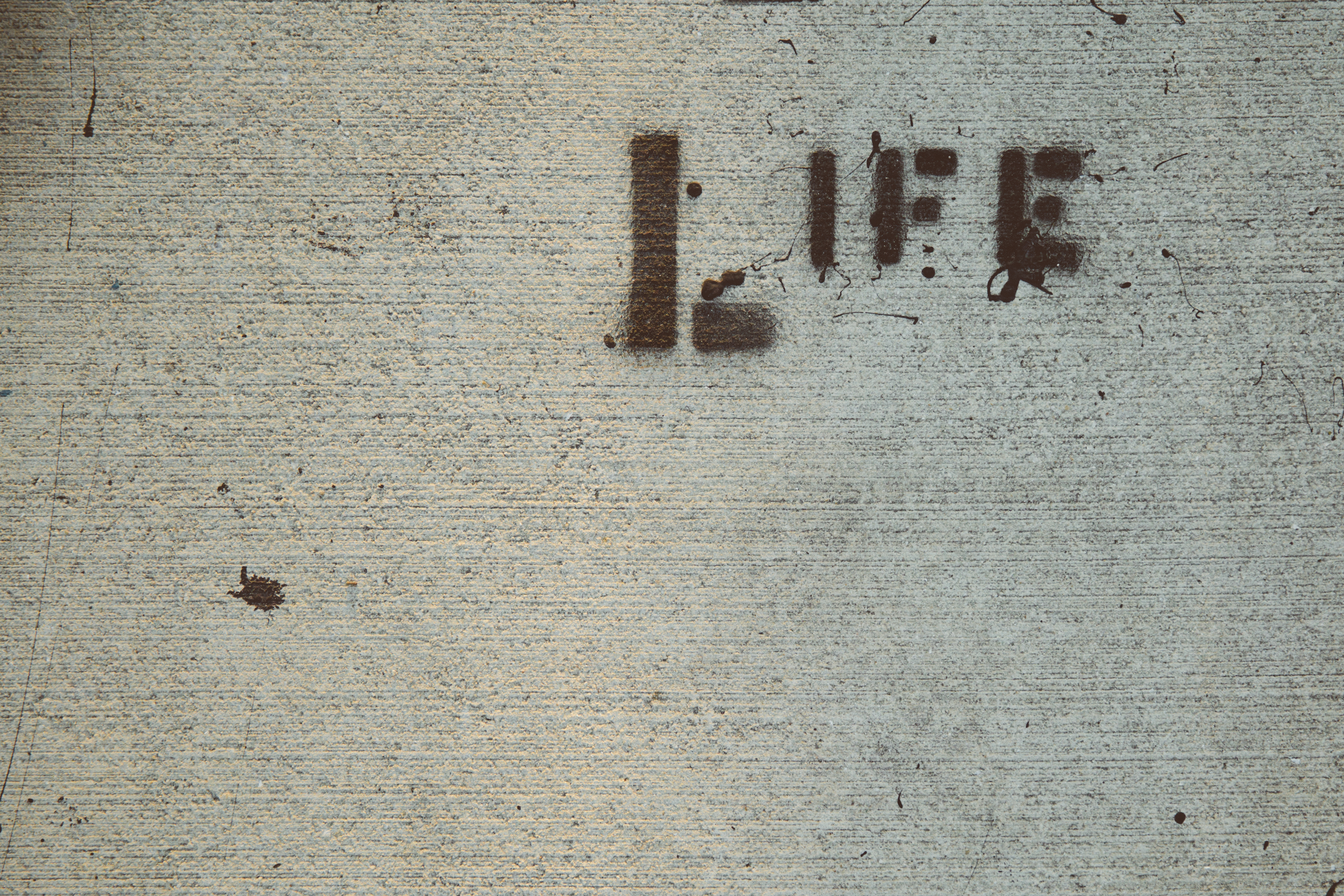 Life